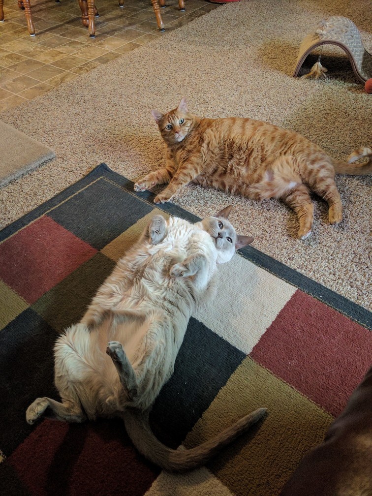 You Have Hands Human. Get to It.