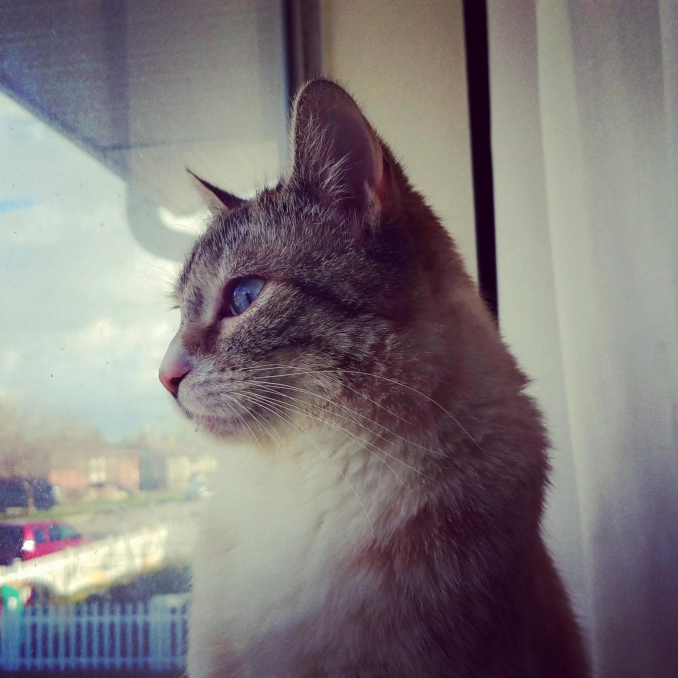 You Have to Wonder What Shes Thinking About...