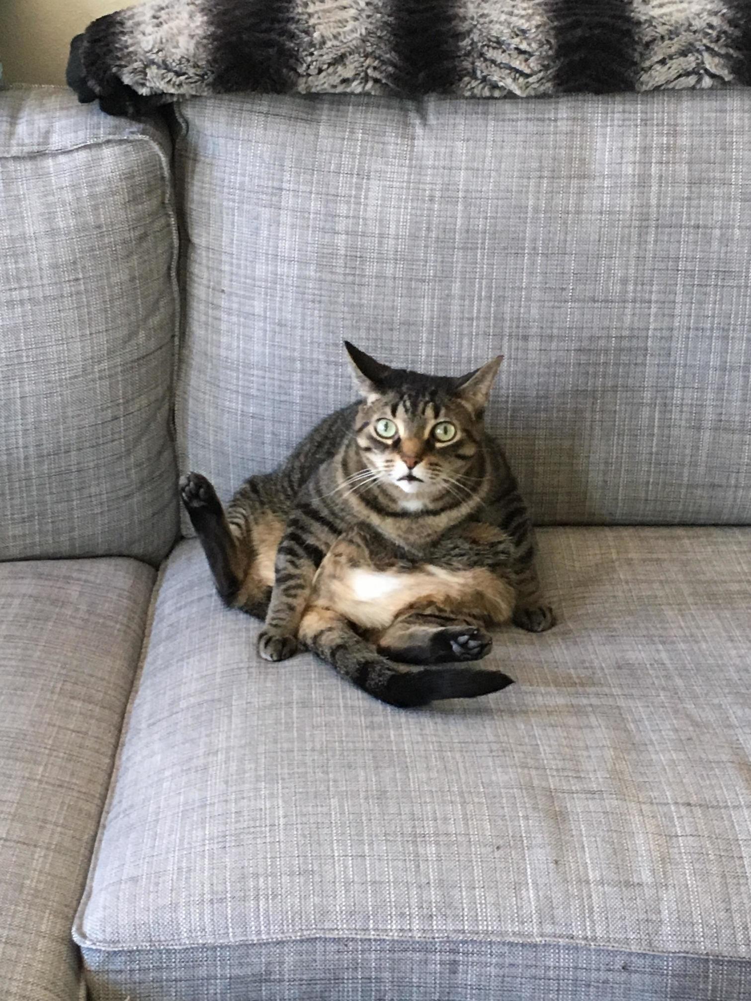 I Can Explain
