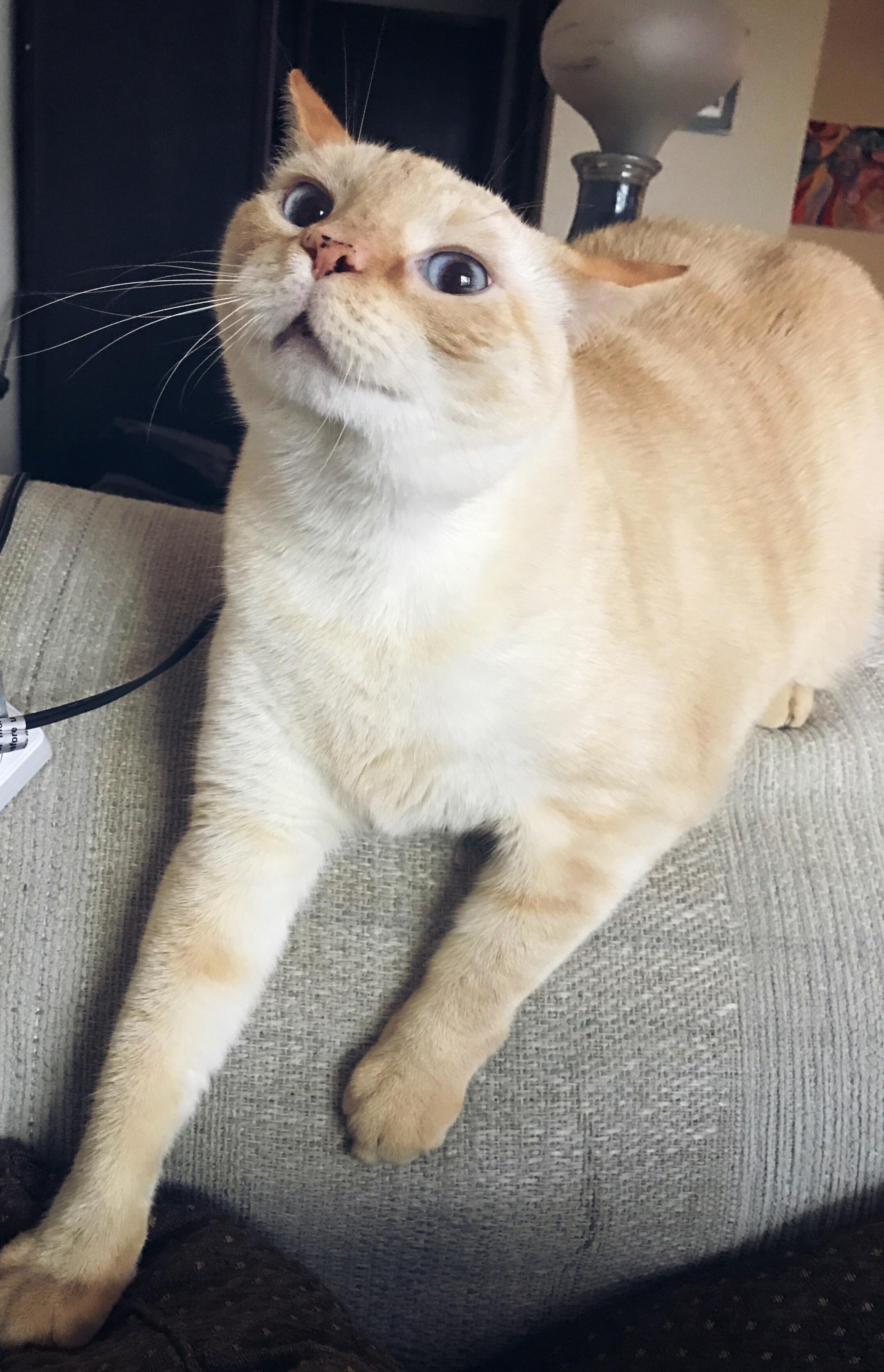 A Moment Before He Attacked