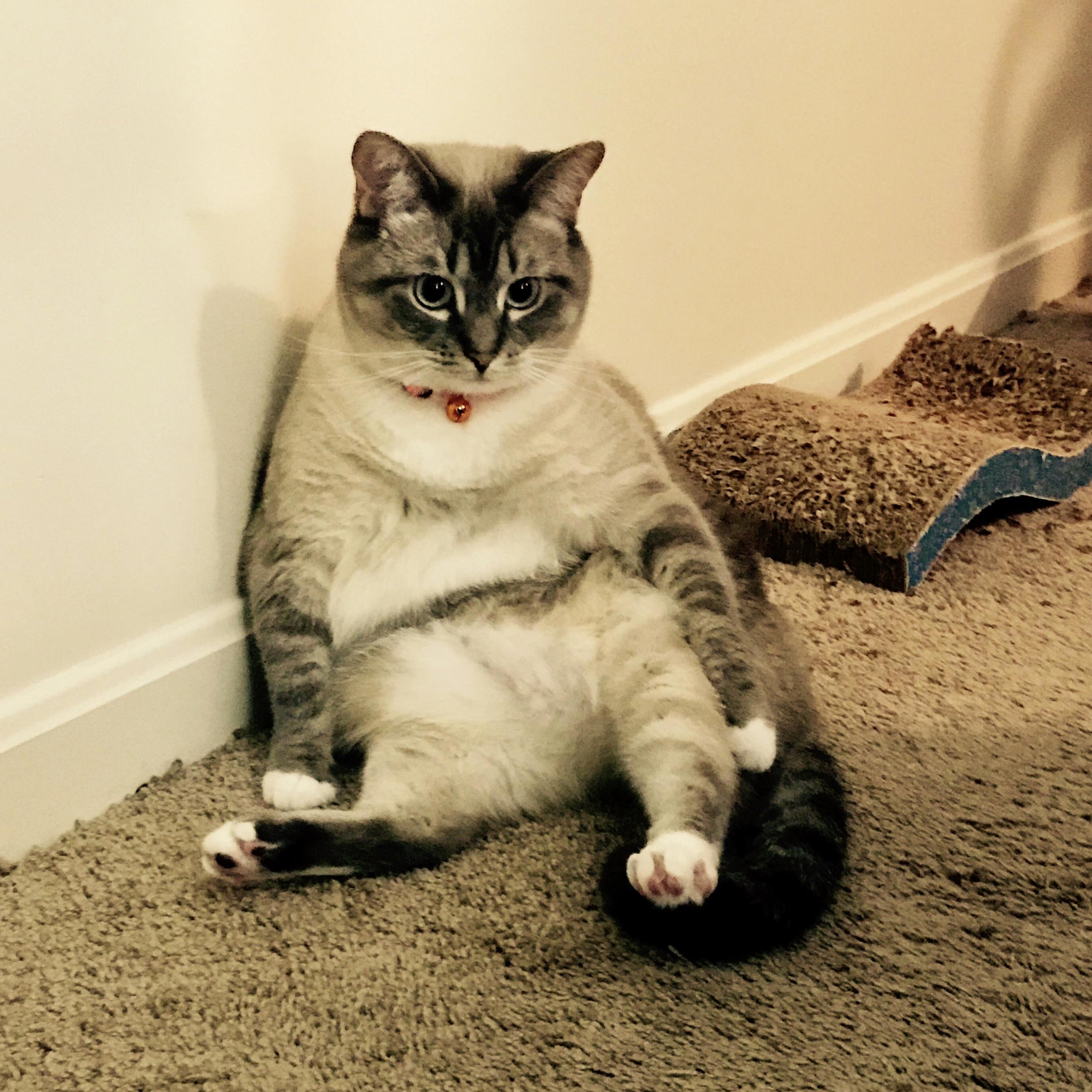 After You Try on the First Bathing Suit of the Season