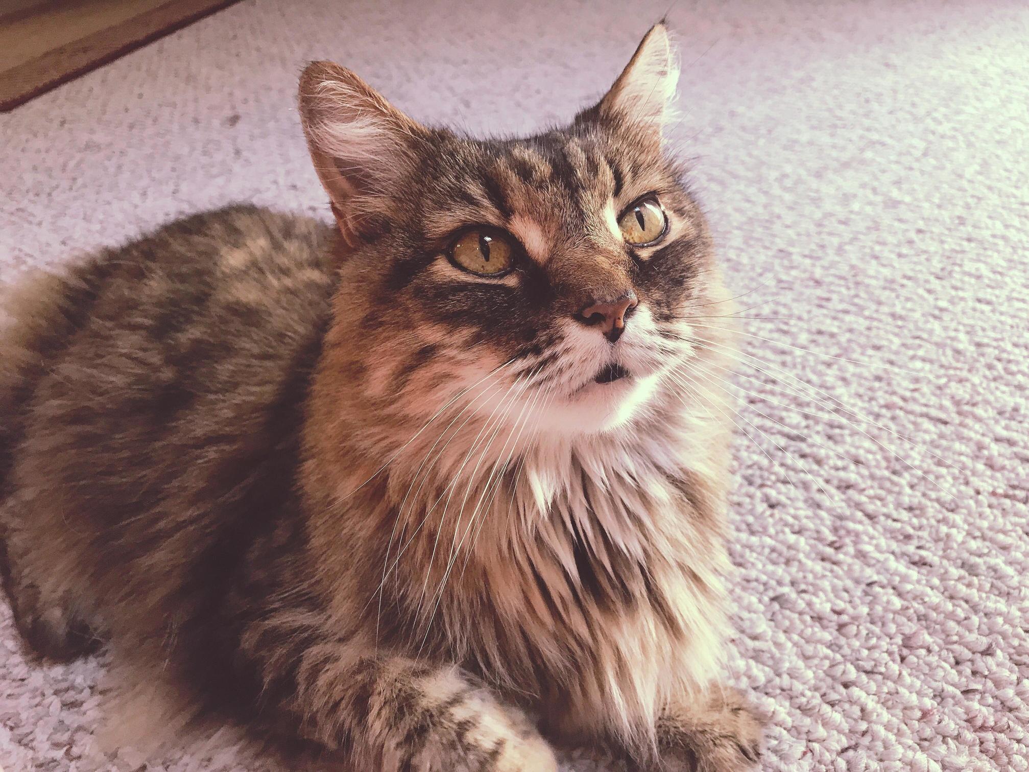 Almost 14 Years Old and Still Looking Fabulous