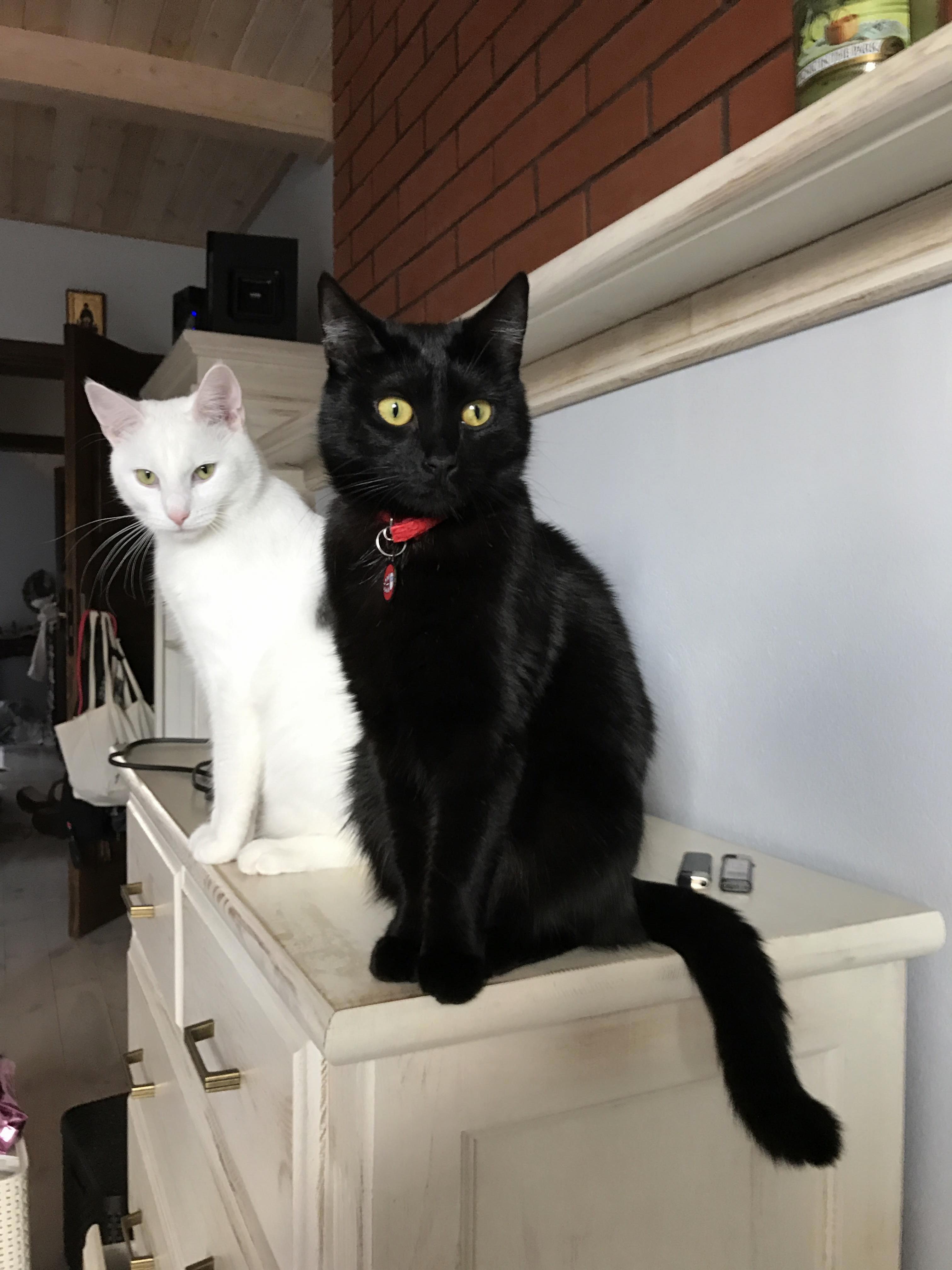 Black and White