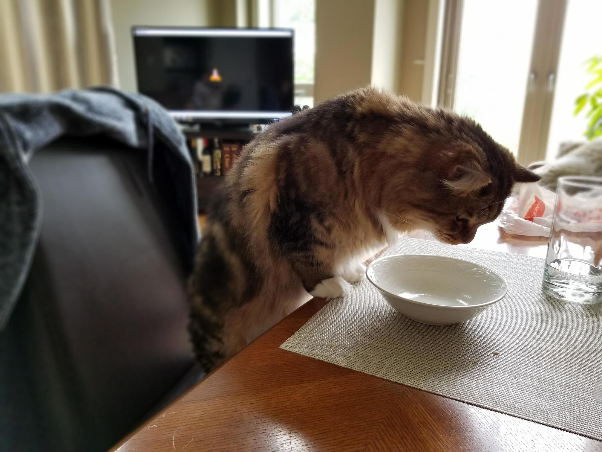 Breakfast Time