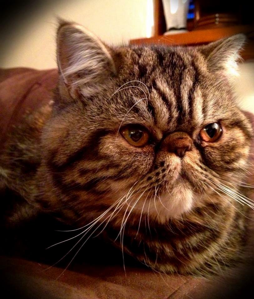 Deep Thoughts...