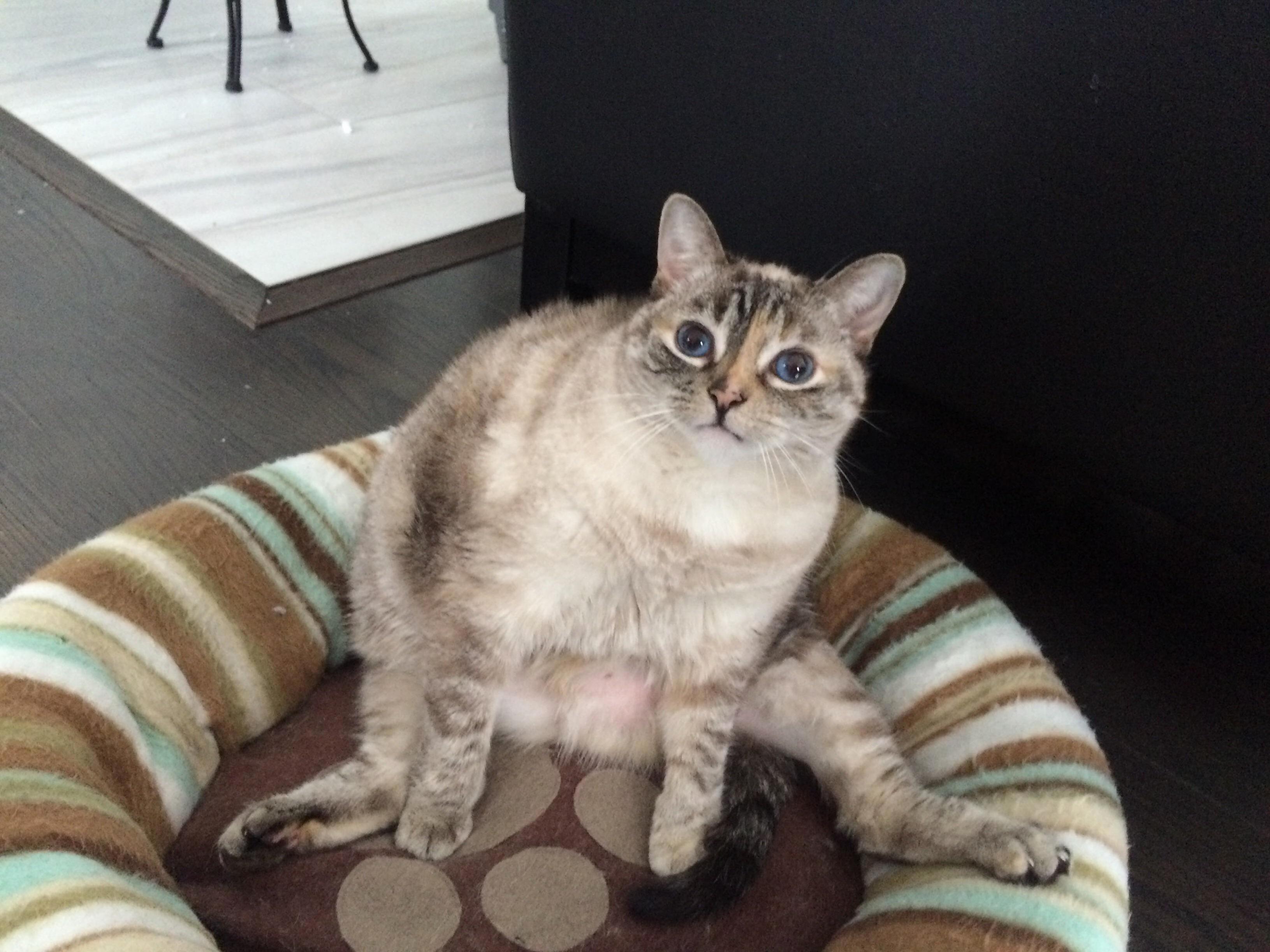 Doing the Splits