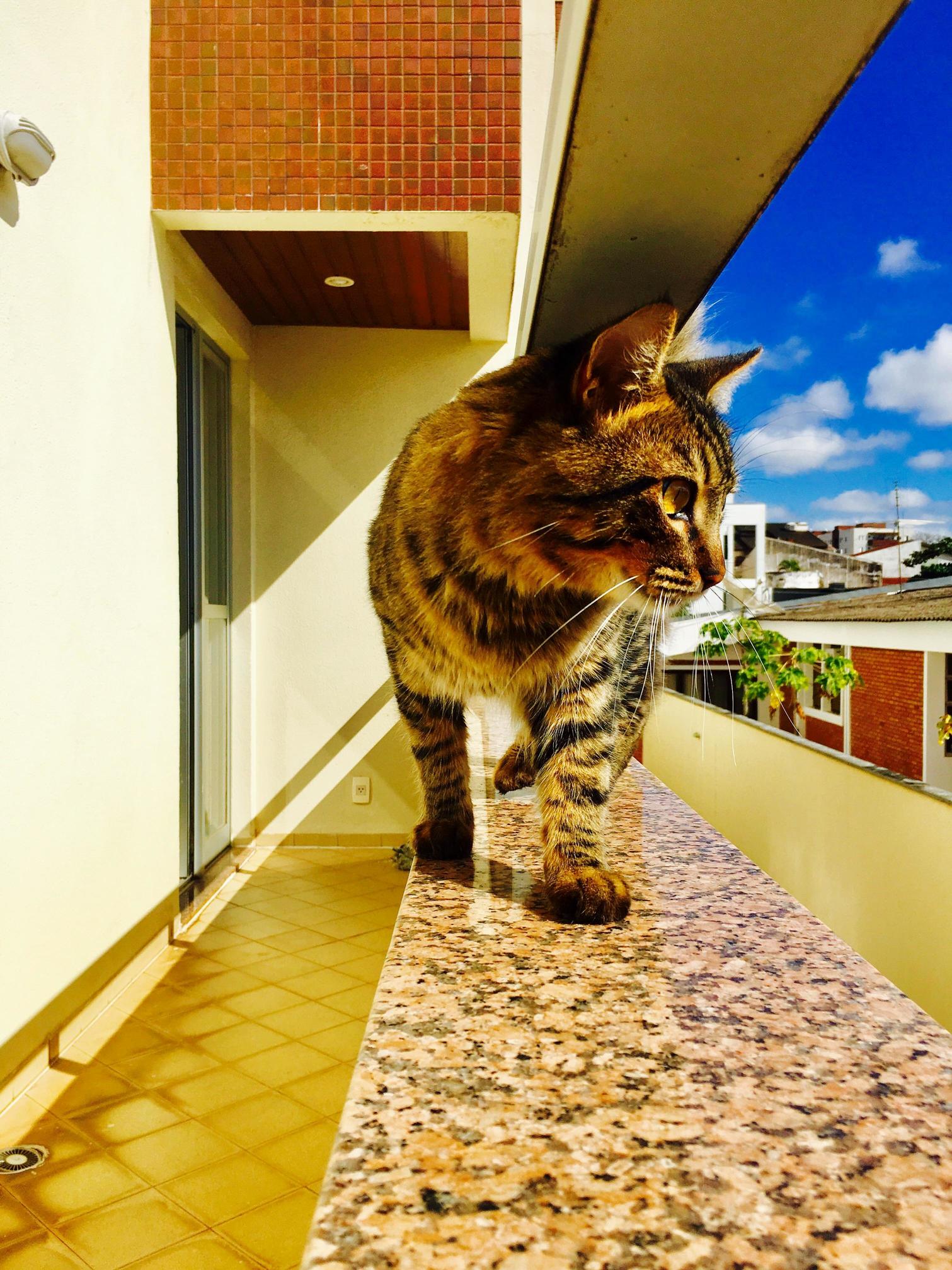 Exploring