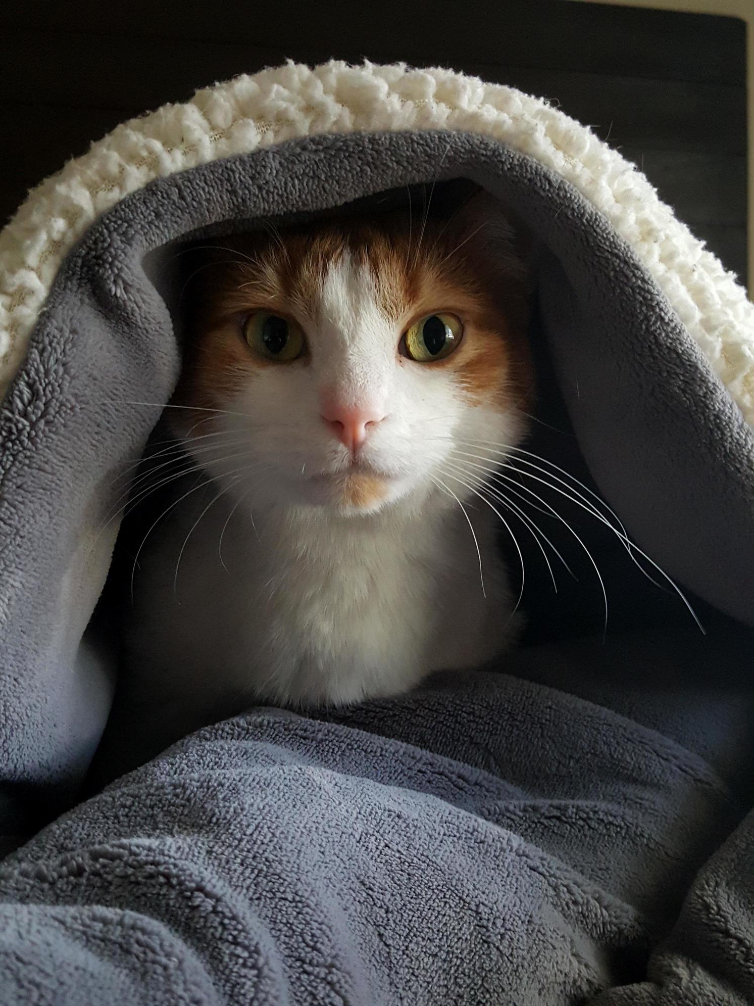 Fidel Catstro Is Quite the Handsome Young Man.