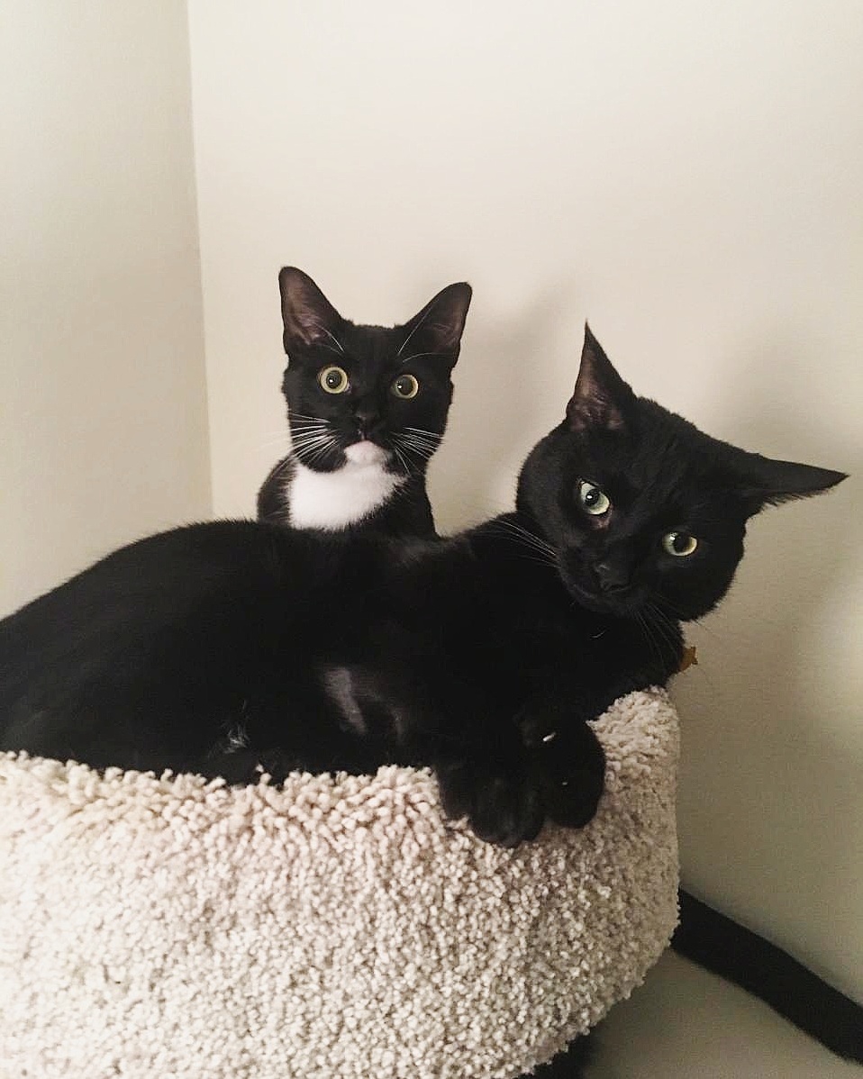 Finally Caught These Two Sweet Cousins Getting Along