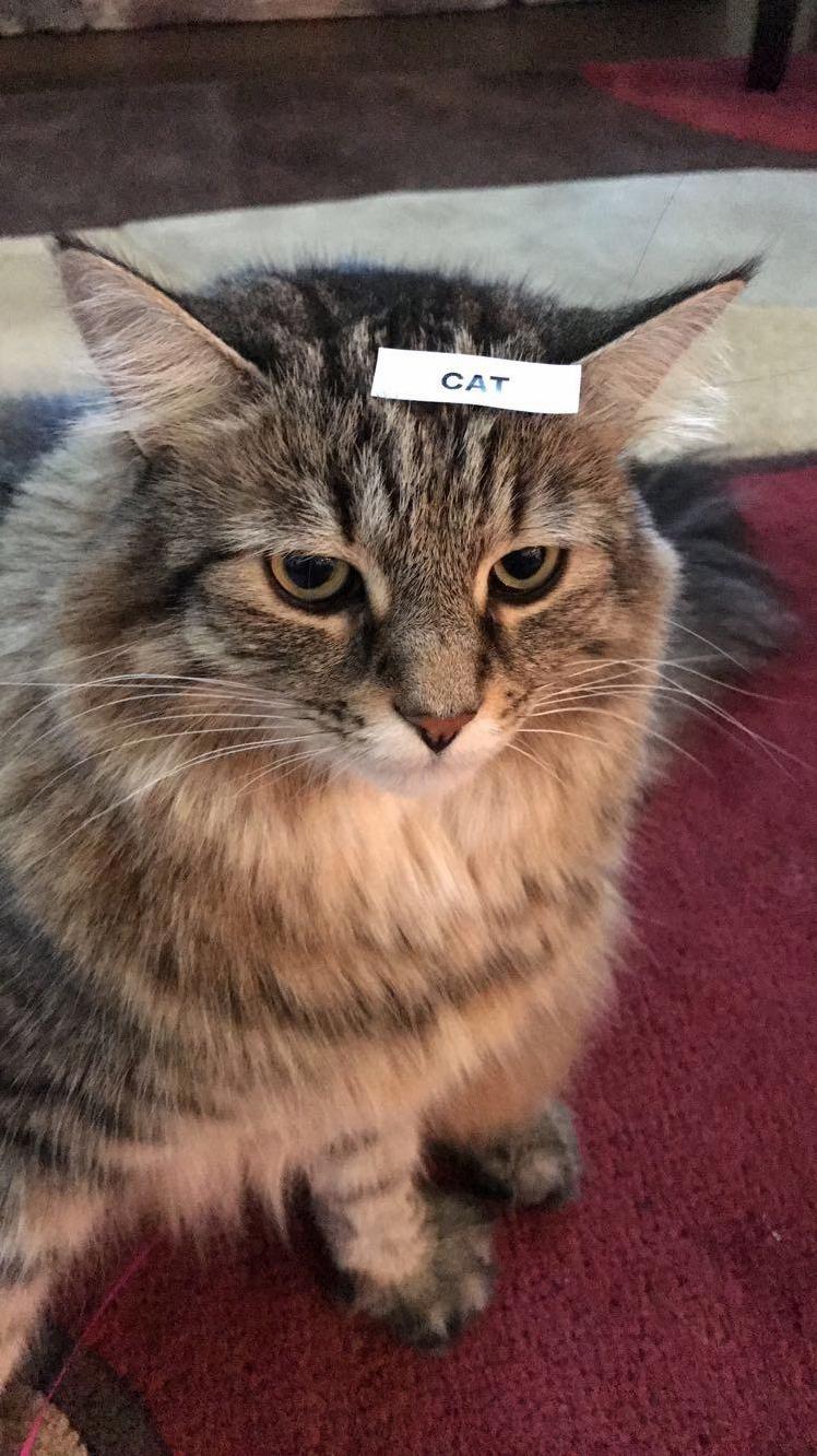 Girlfriend Went a Little Overboard with the Labeller..