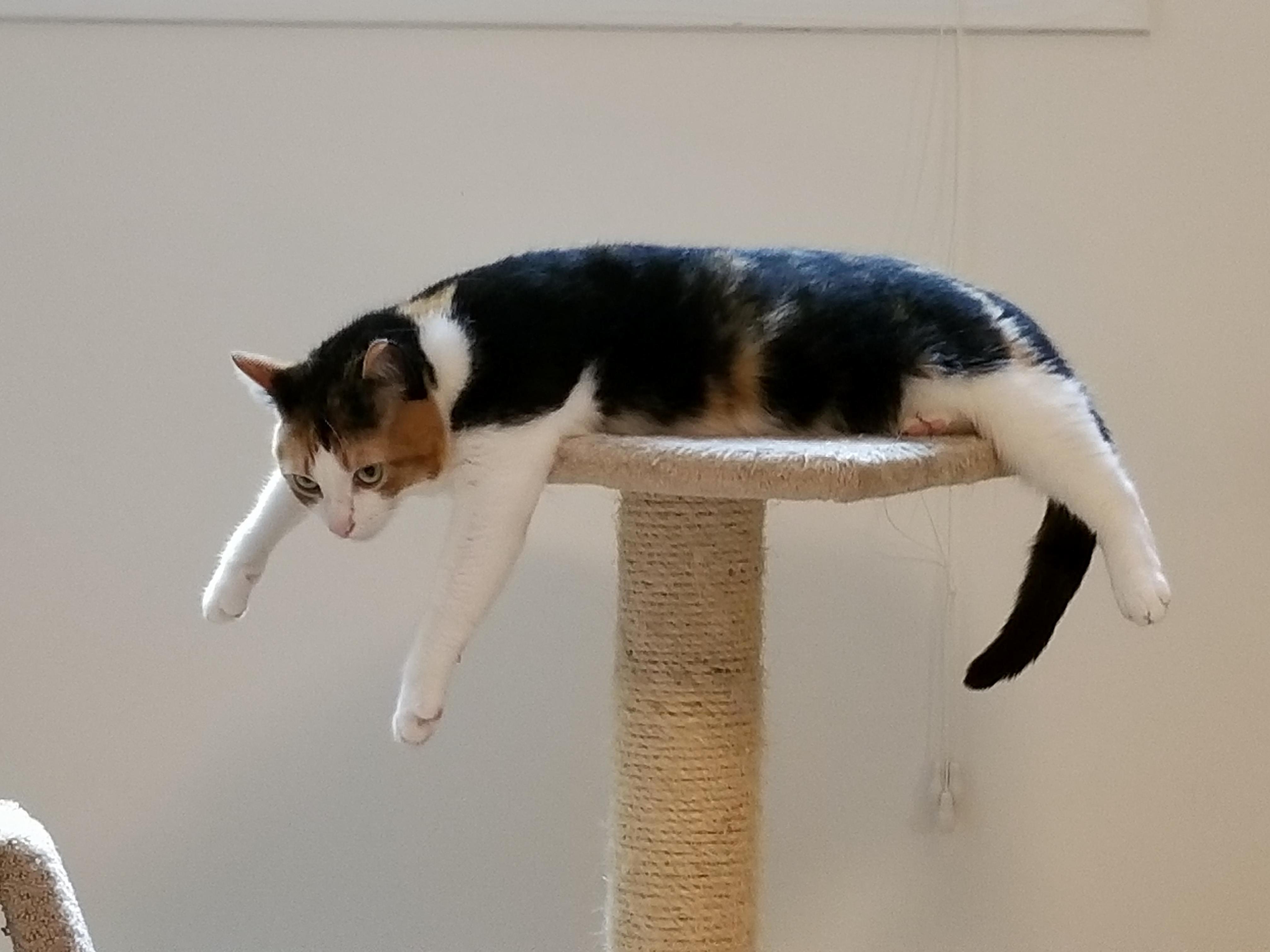 Good Luck Finding Your Socks. You Left Me Inside All Day.