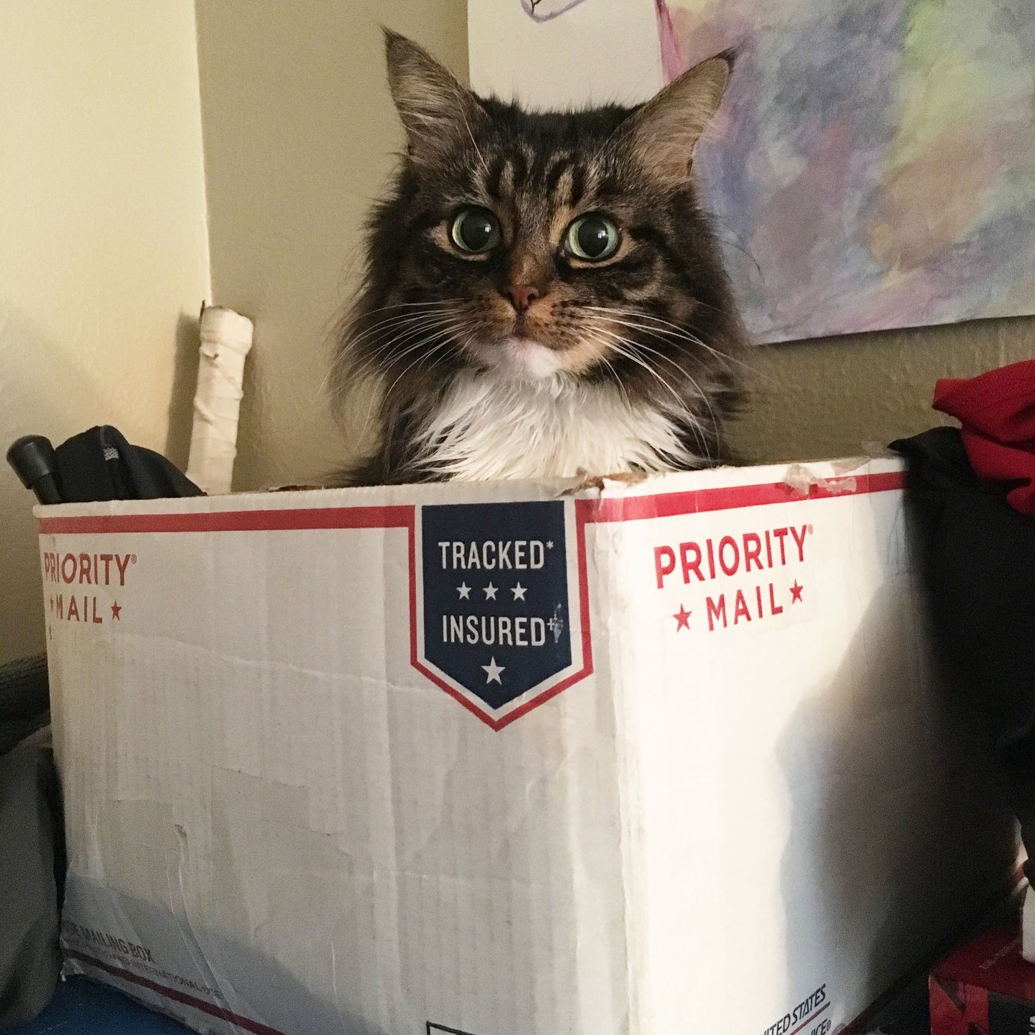 Got an Unexpected Package This Morning