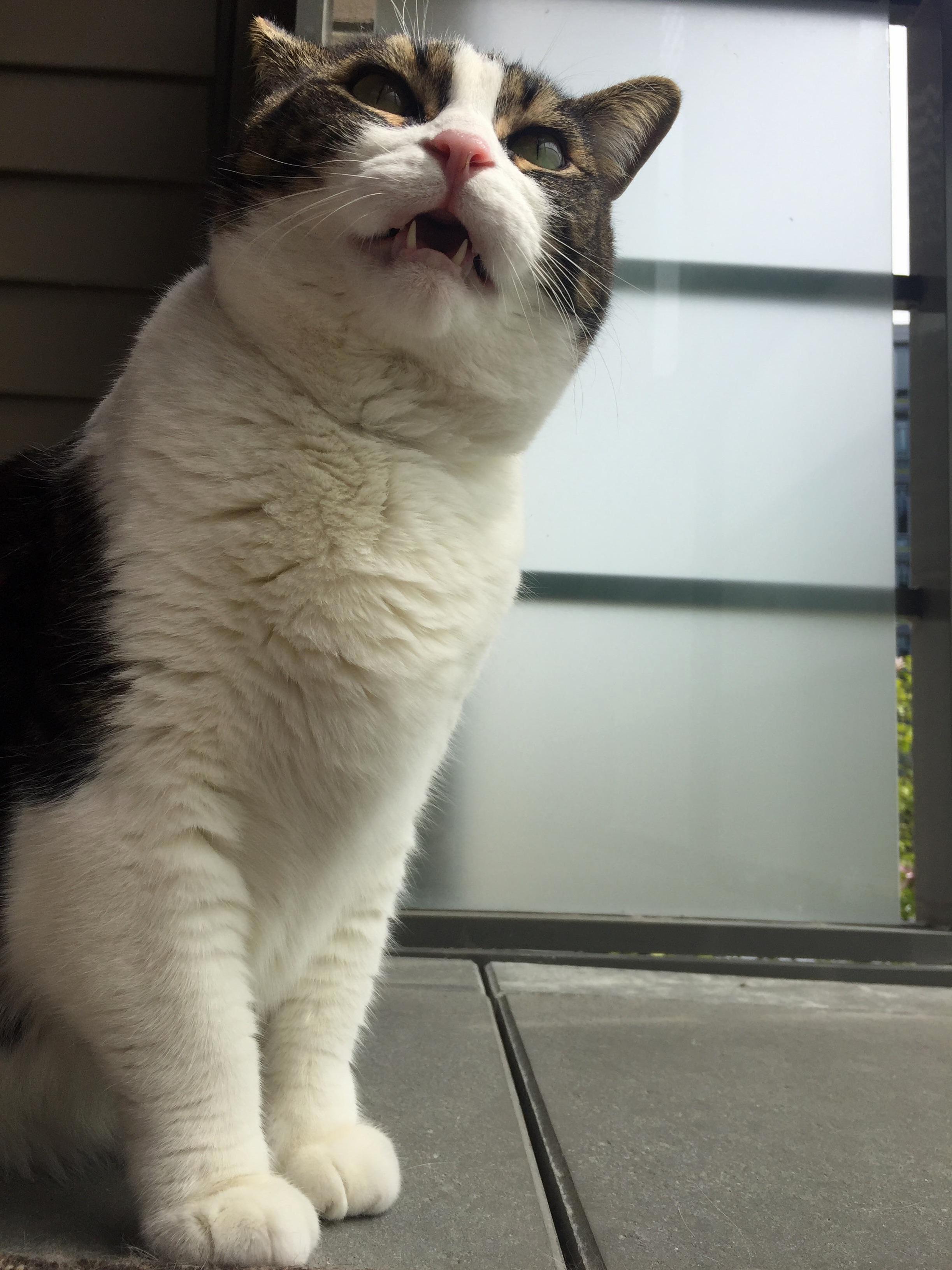 Half a Second Before the Sneeze.