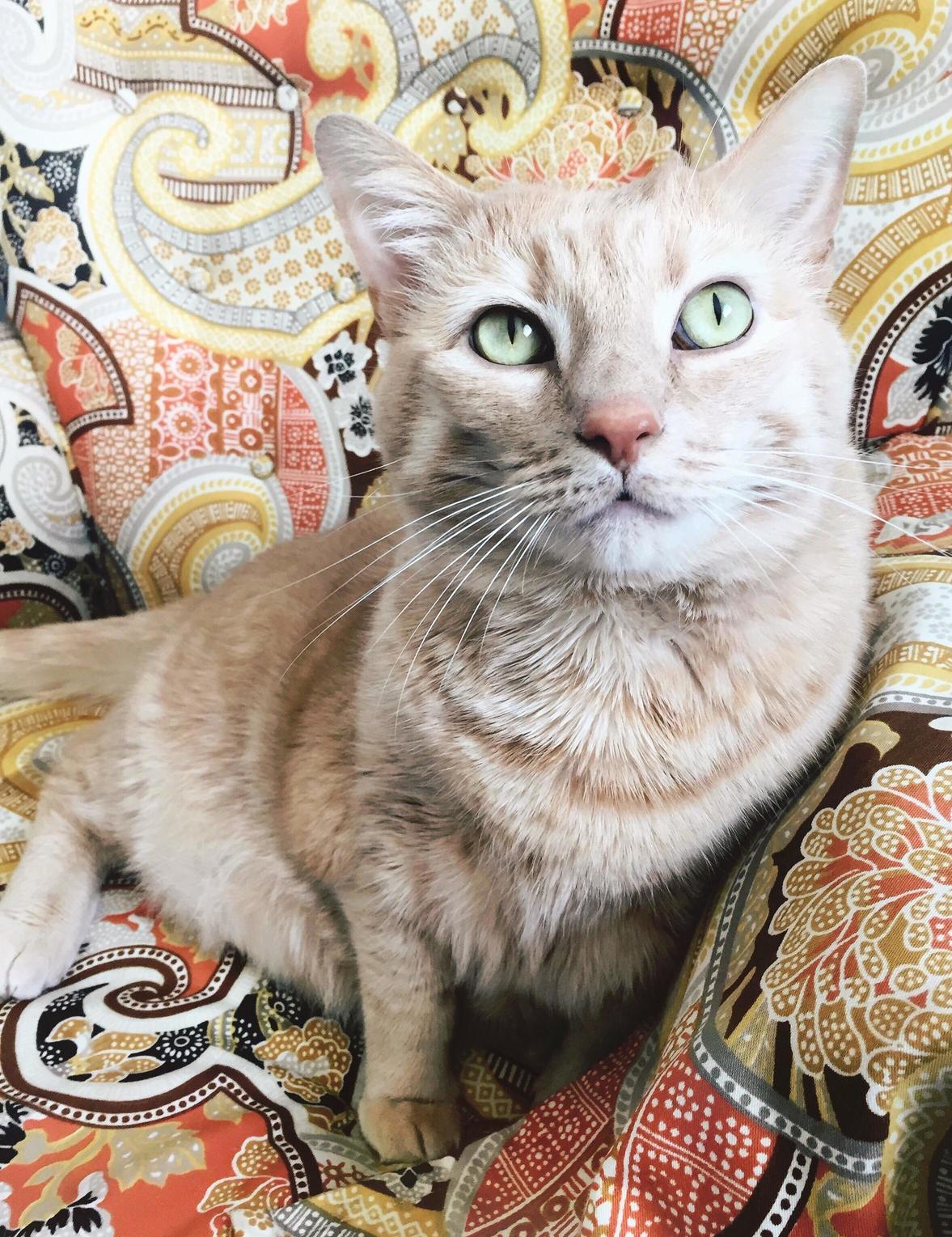Handsome Nathan
