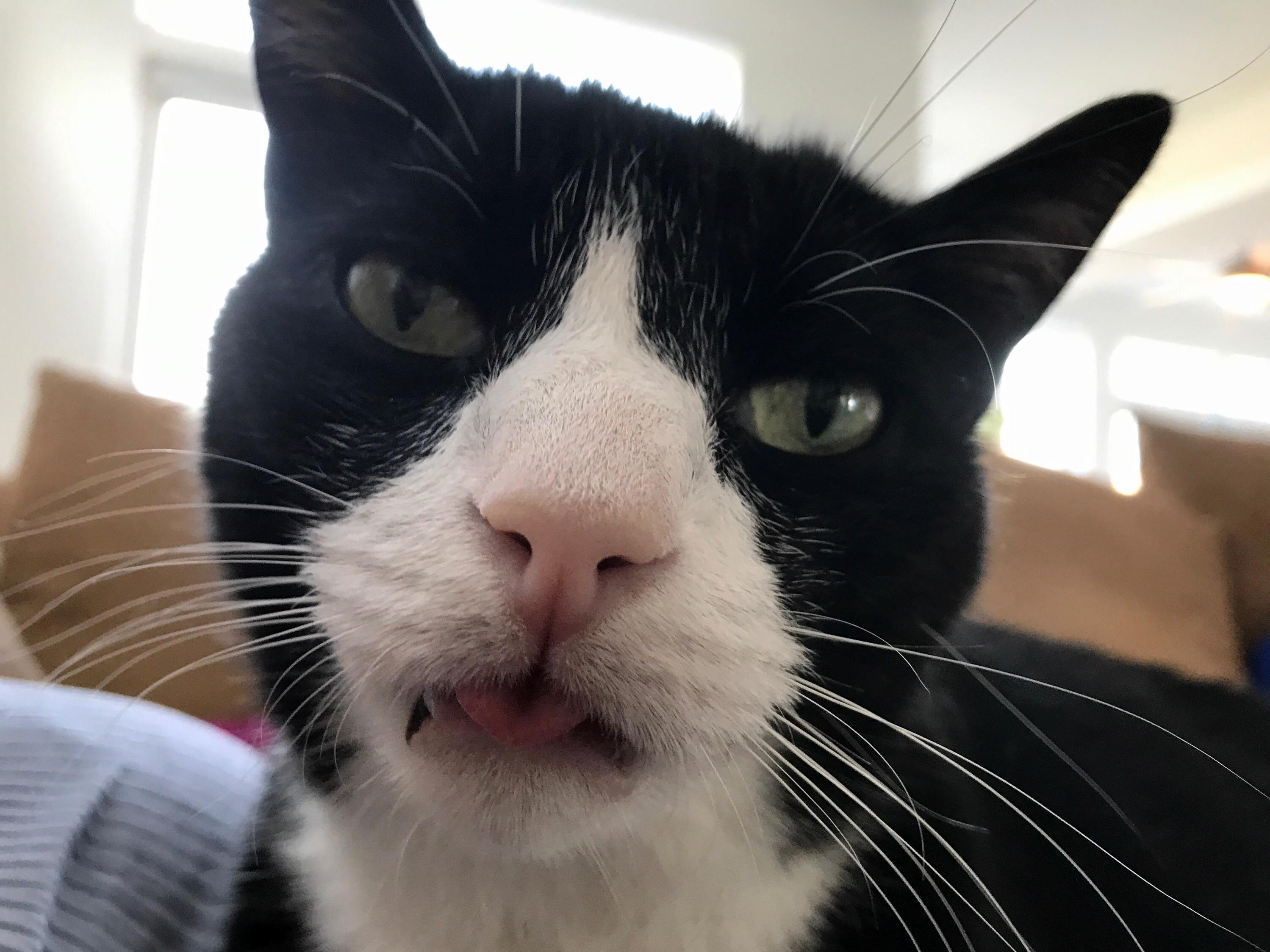 He Forgot His Tongue