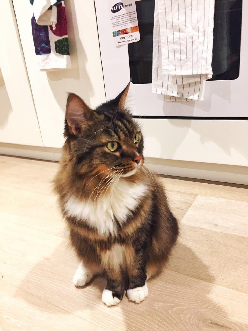 He Is 9 Now