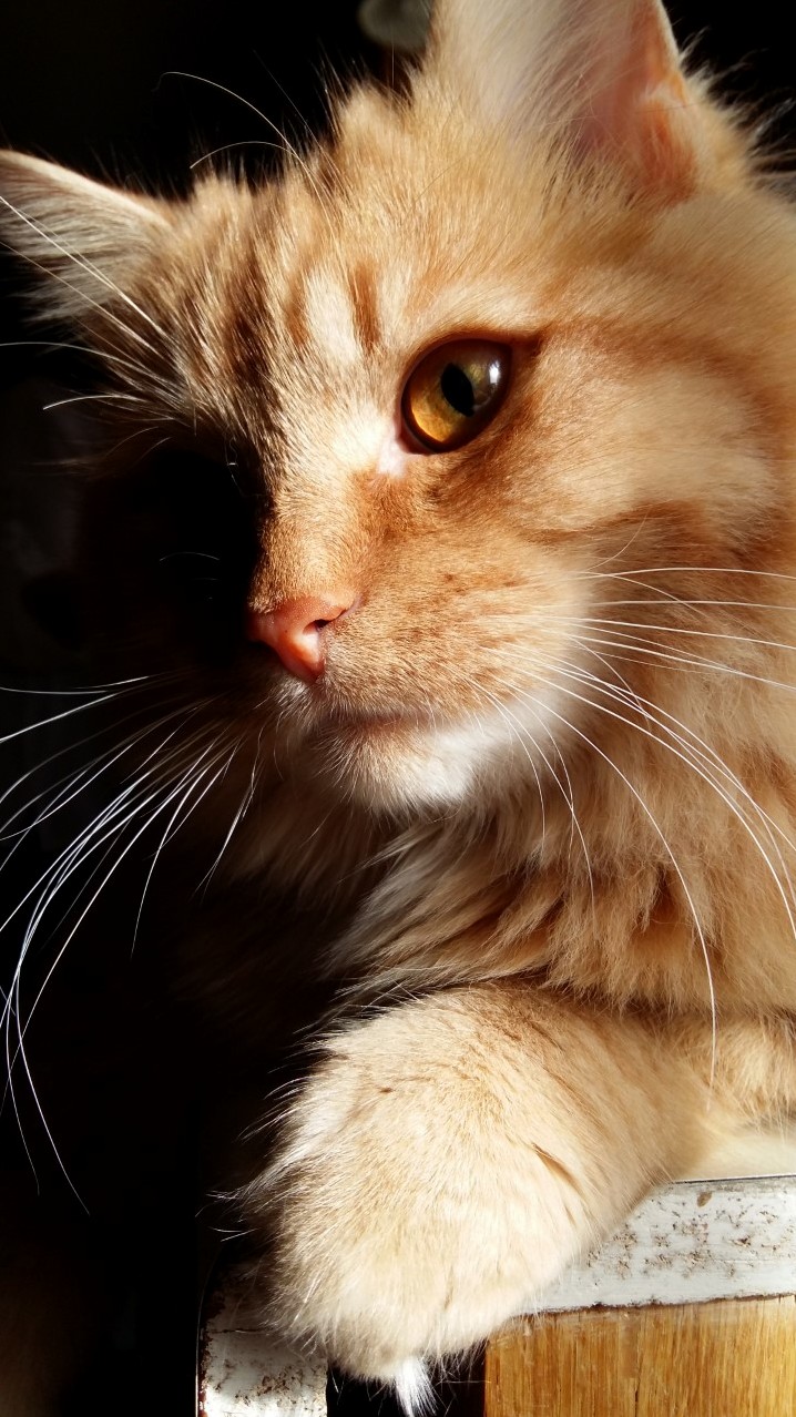 He Is Just So Photogenic