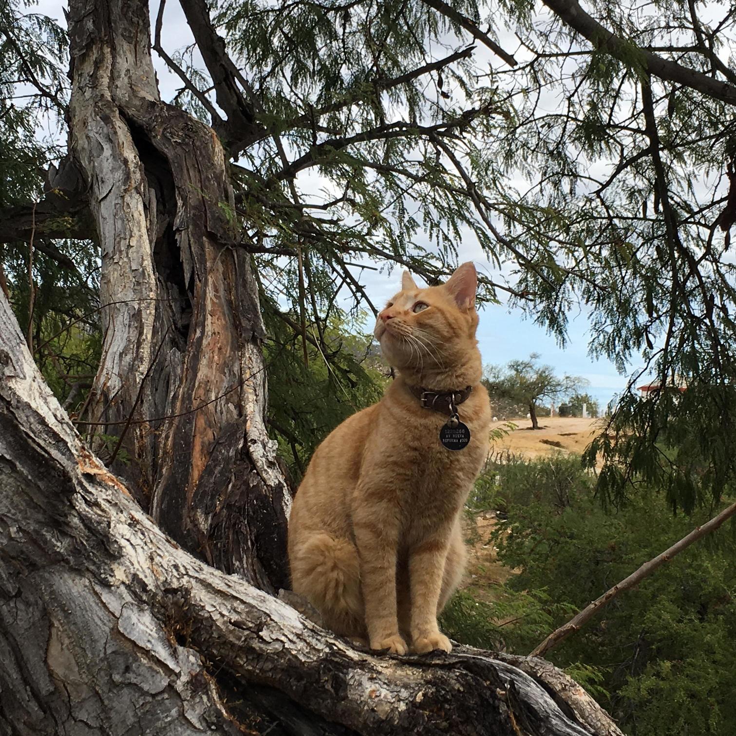 He Knows How to Model for the Camera