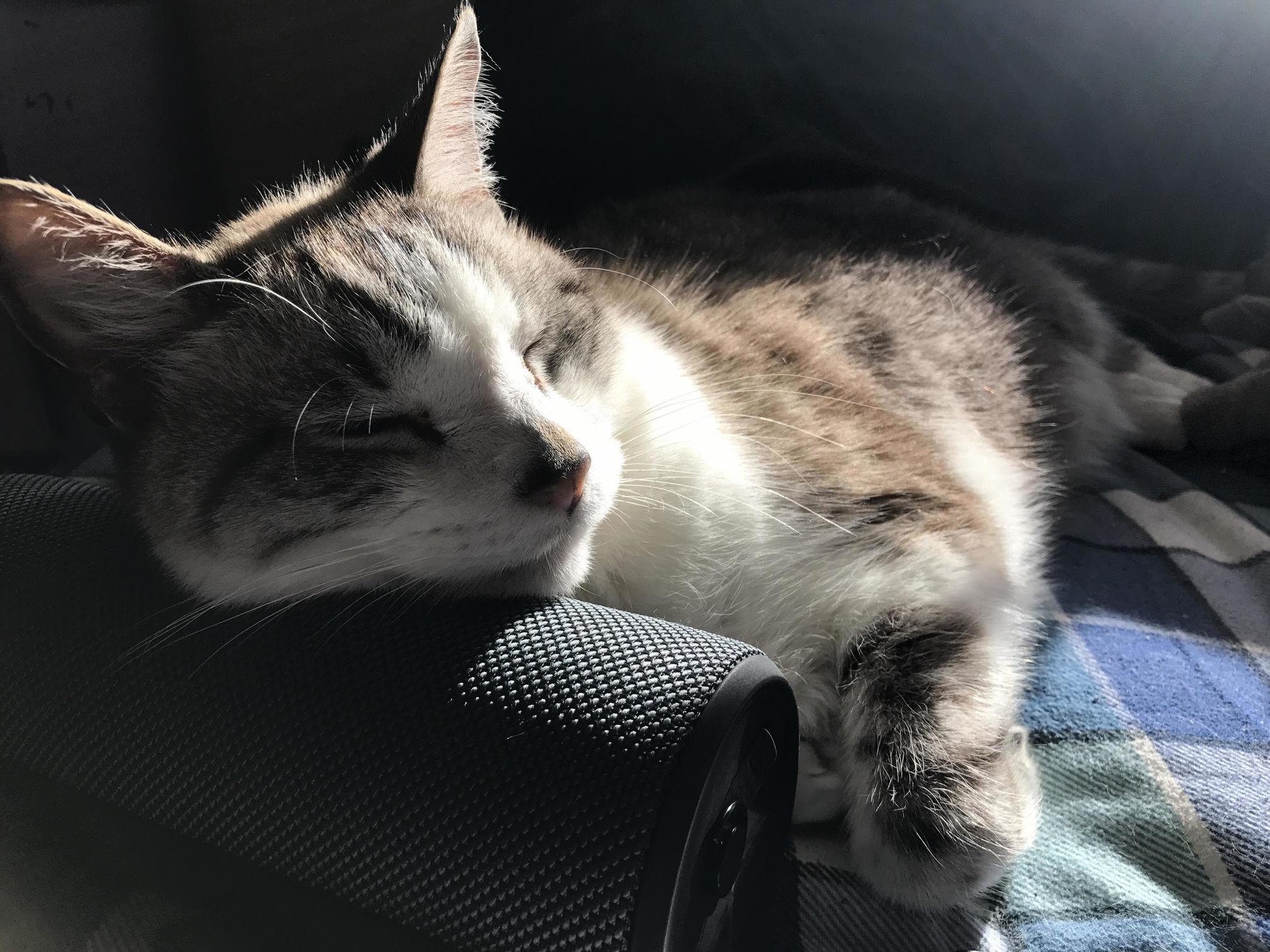 Heisenberg Loves His Music