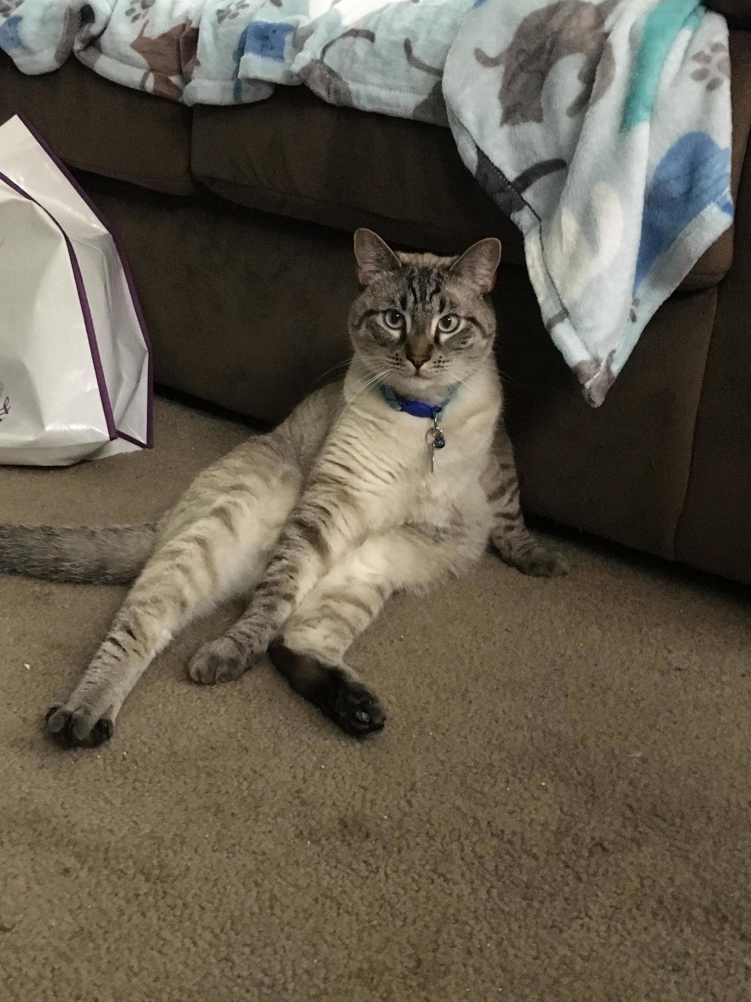 Hello There