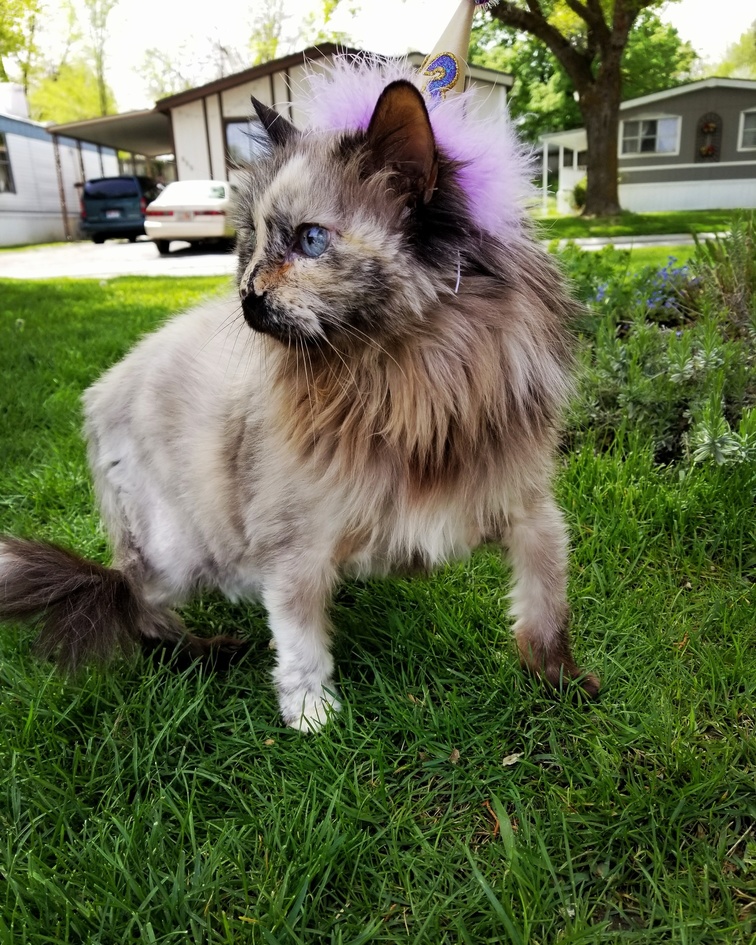 Her 13th Birthday
