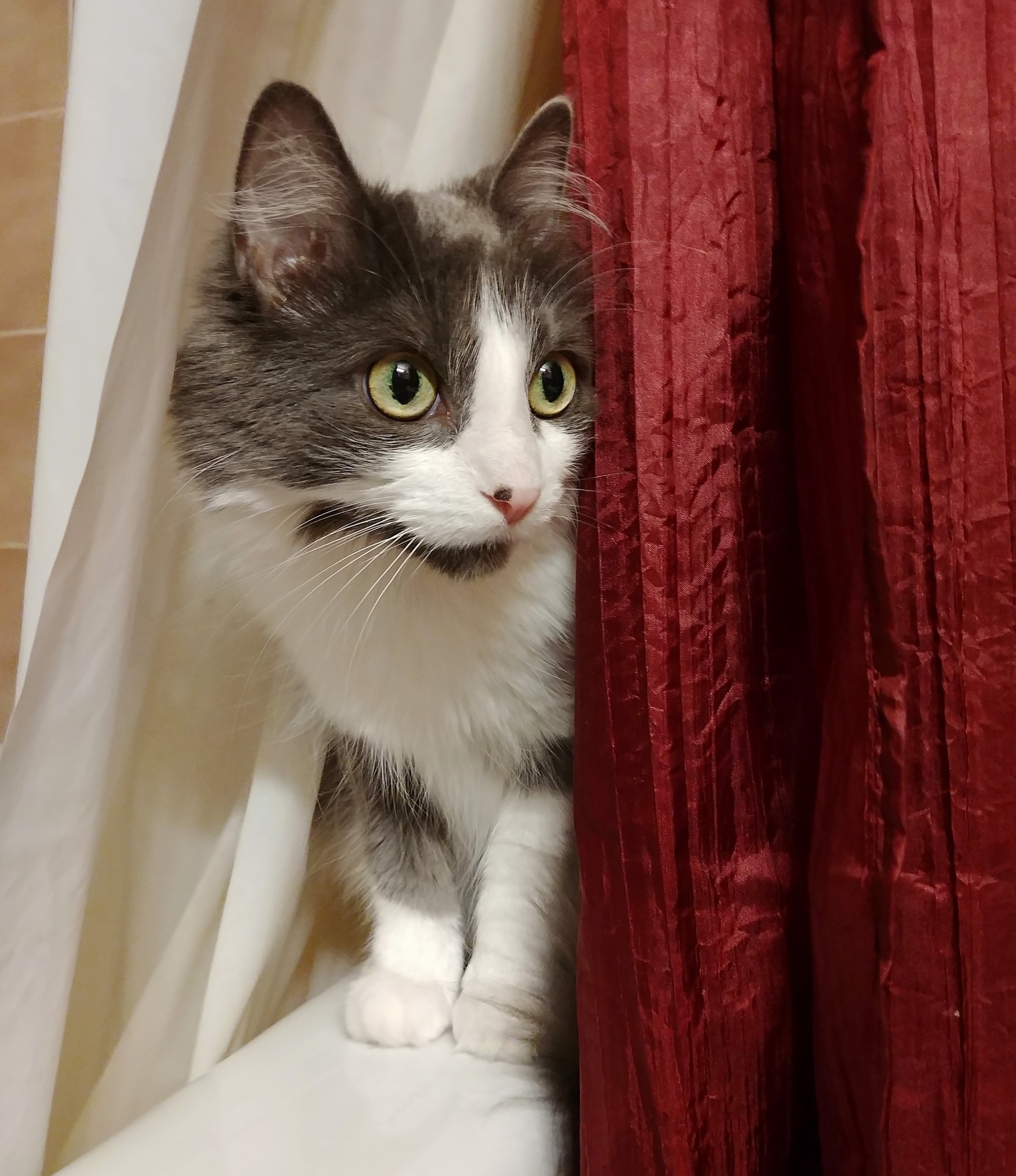 Her Third-favorite Hiding Spot