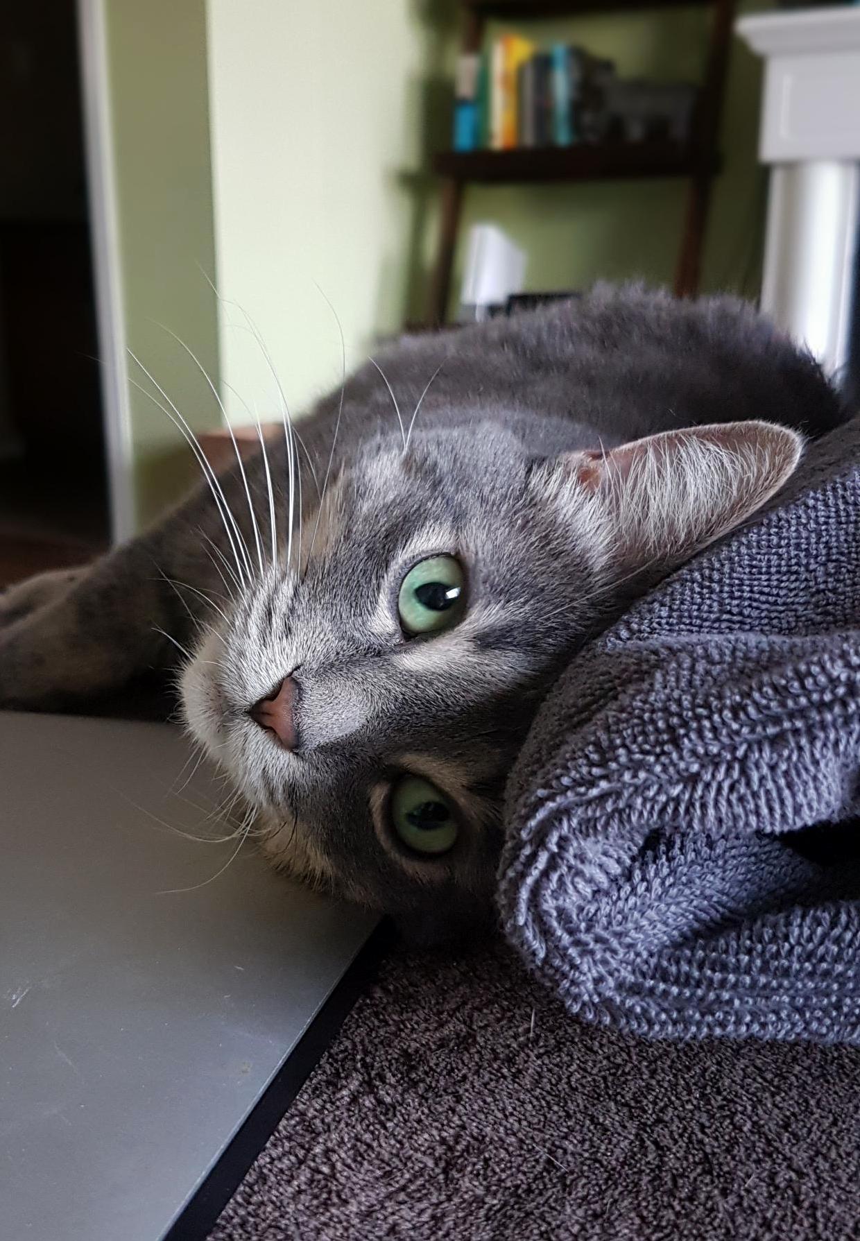 Heres Ginny Today Showing Off Her Ridiculously Green Eyes. Happy 4 Year Adoptiversary