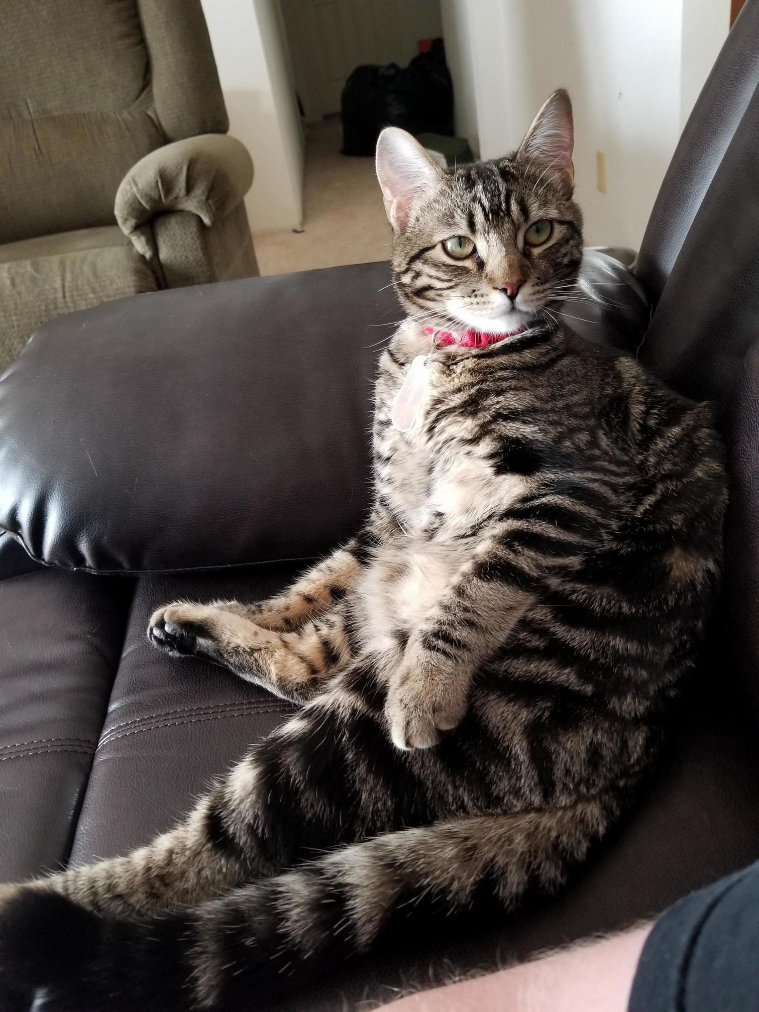Hes an Asshole and My Best Friend. He Says Hello Comrade
