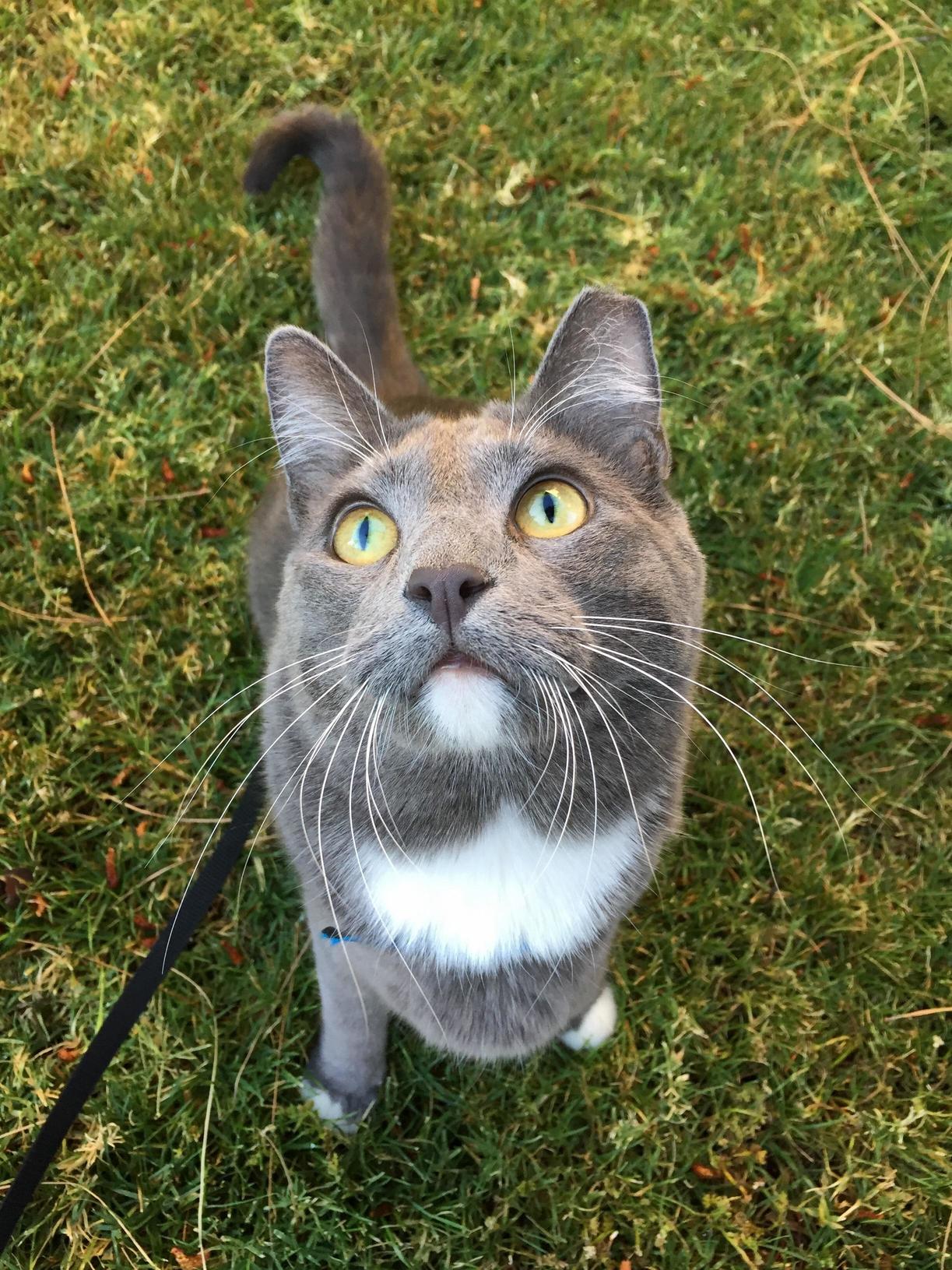 His Face When He Watches Birds....