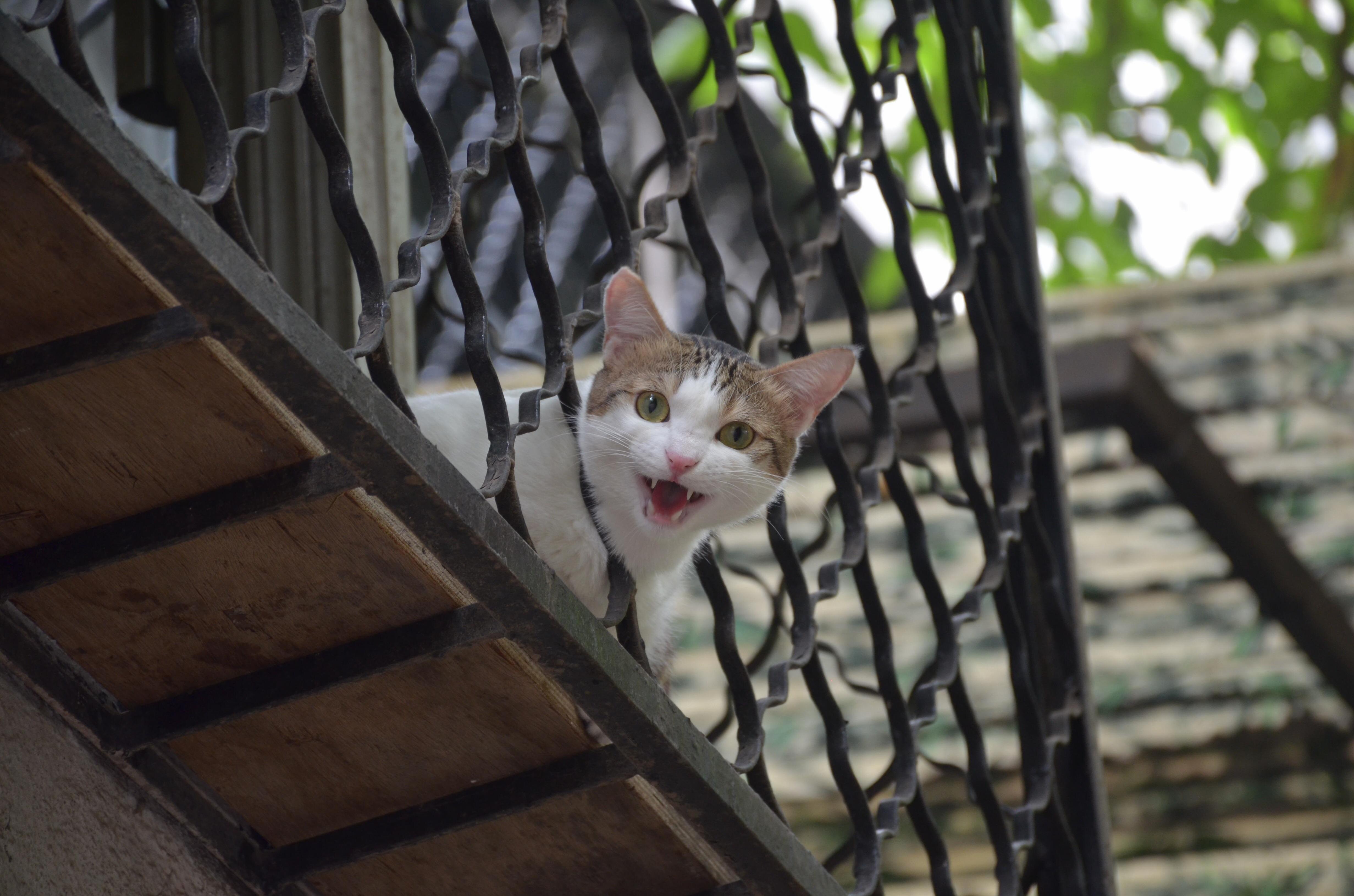 How Is It That You Are Outside and Im in Here