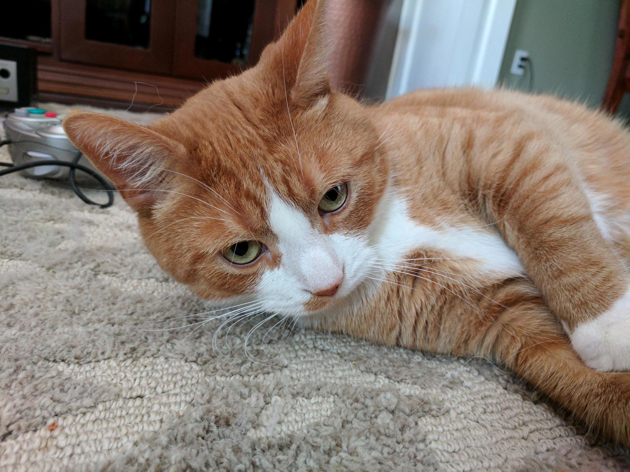 How You Doin