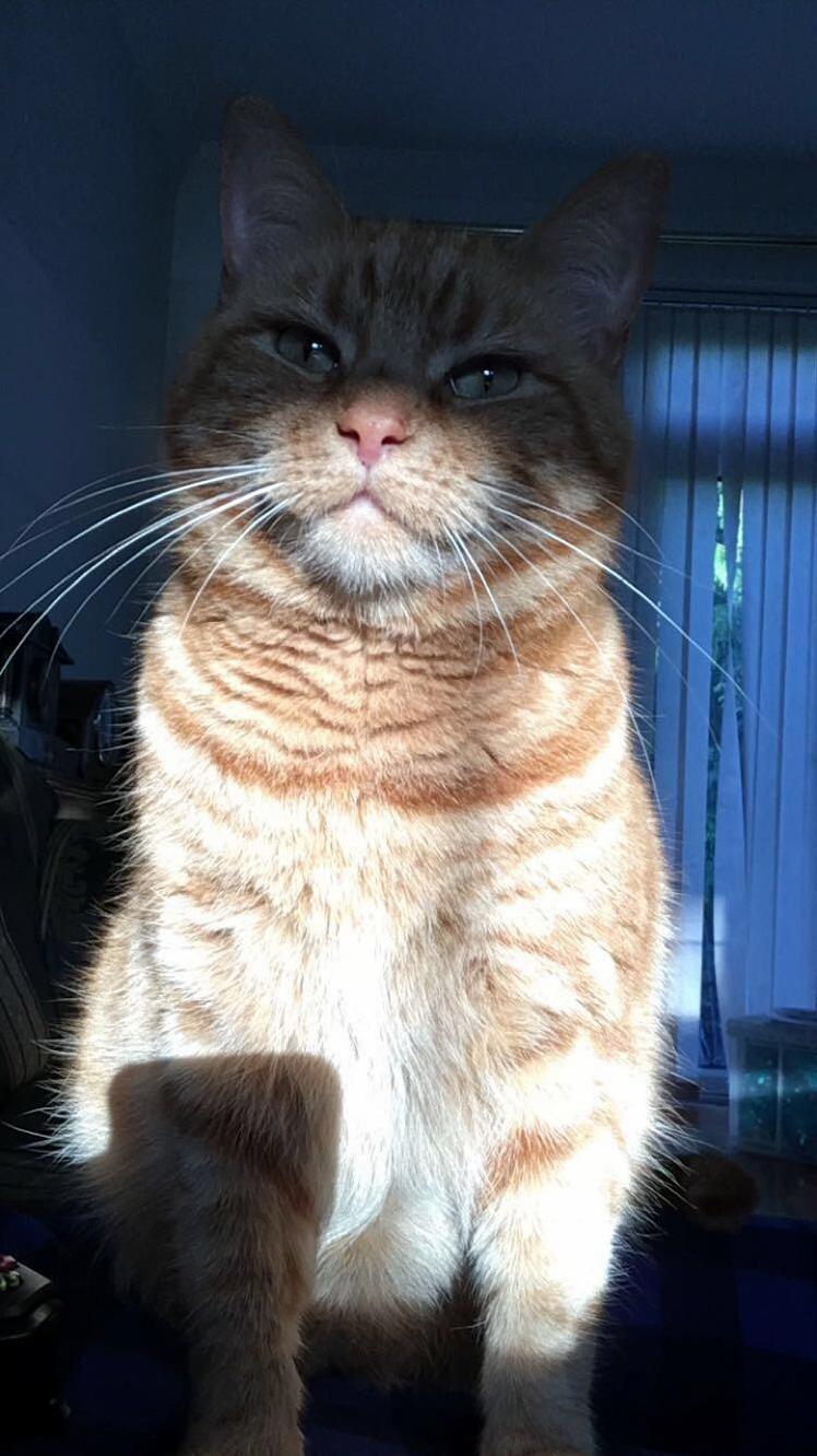 I Am One with the Light