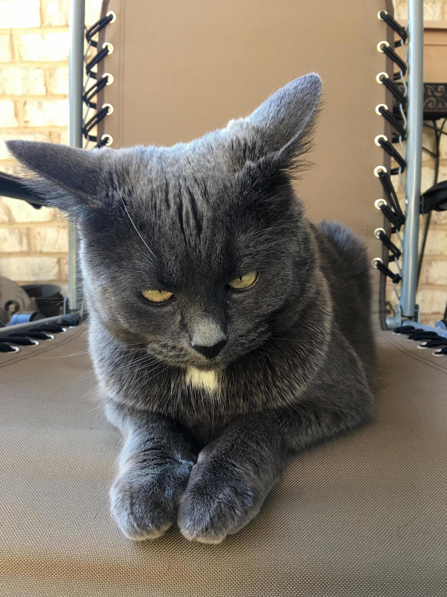 I Got on the Ground to Sit with Her She Decided to Take the Chair I Had Been In.