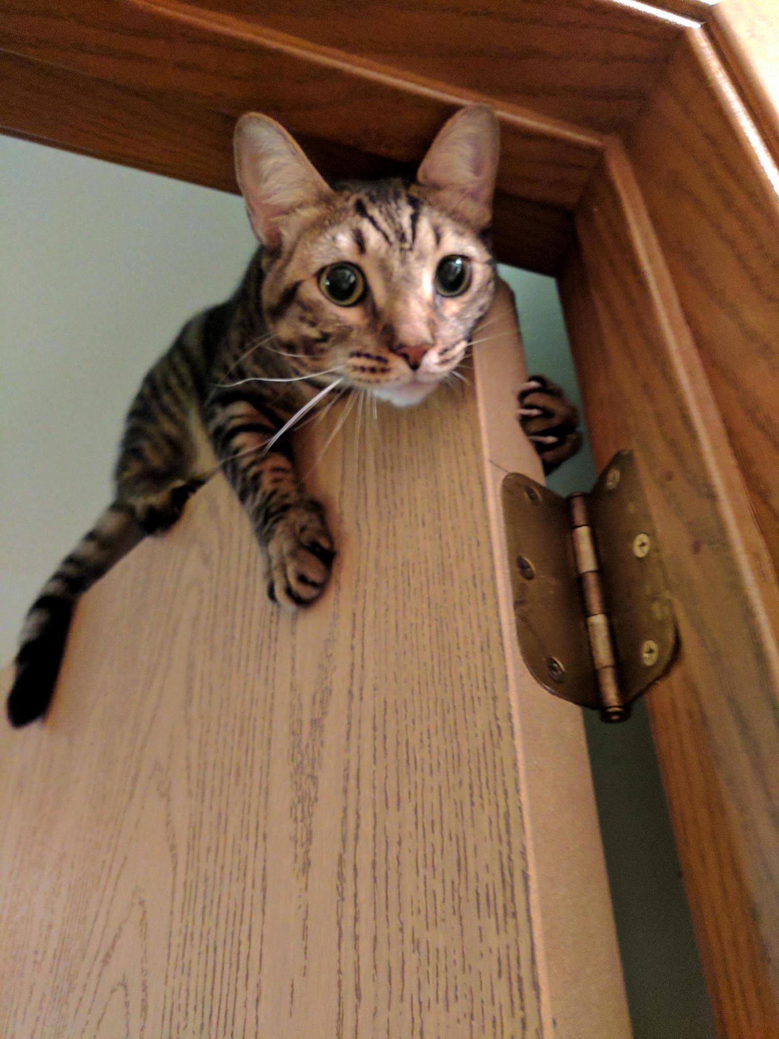 I Love This Door.
