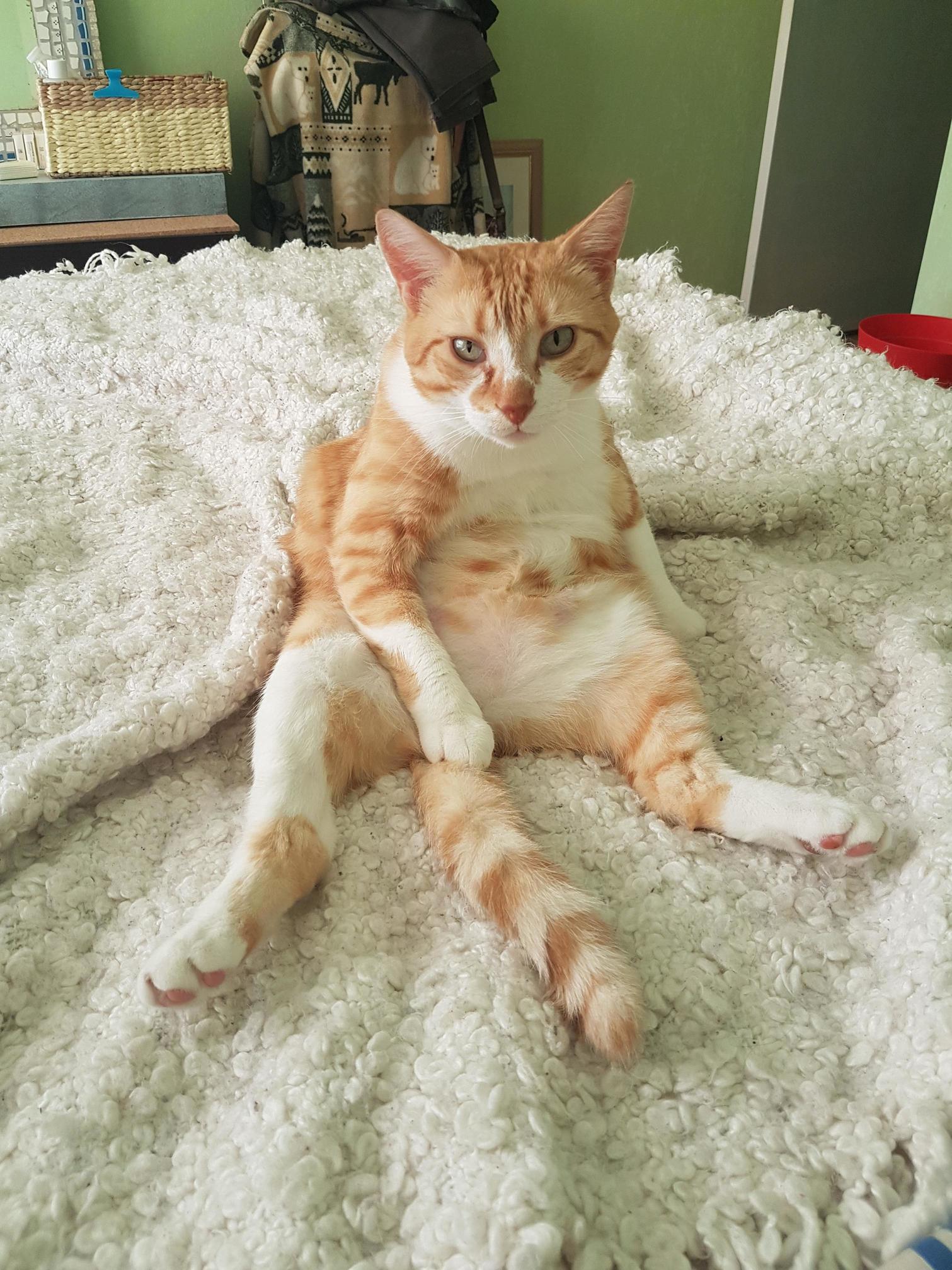I Said My Toys Now