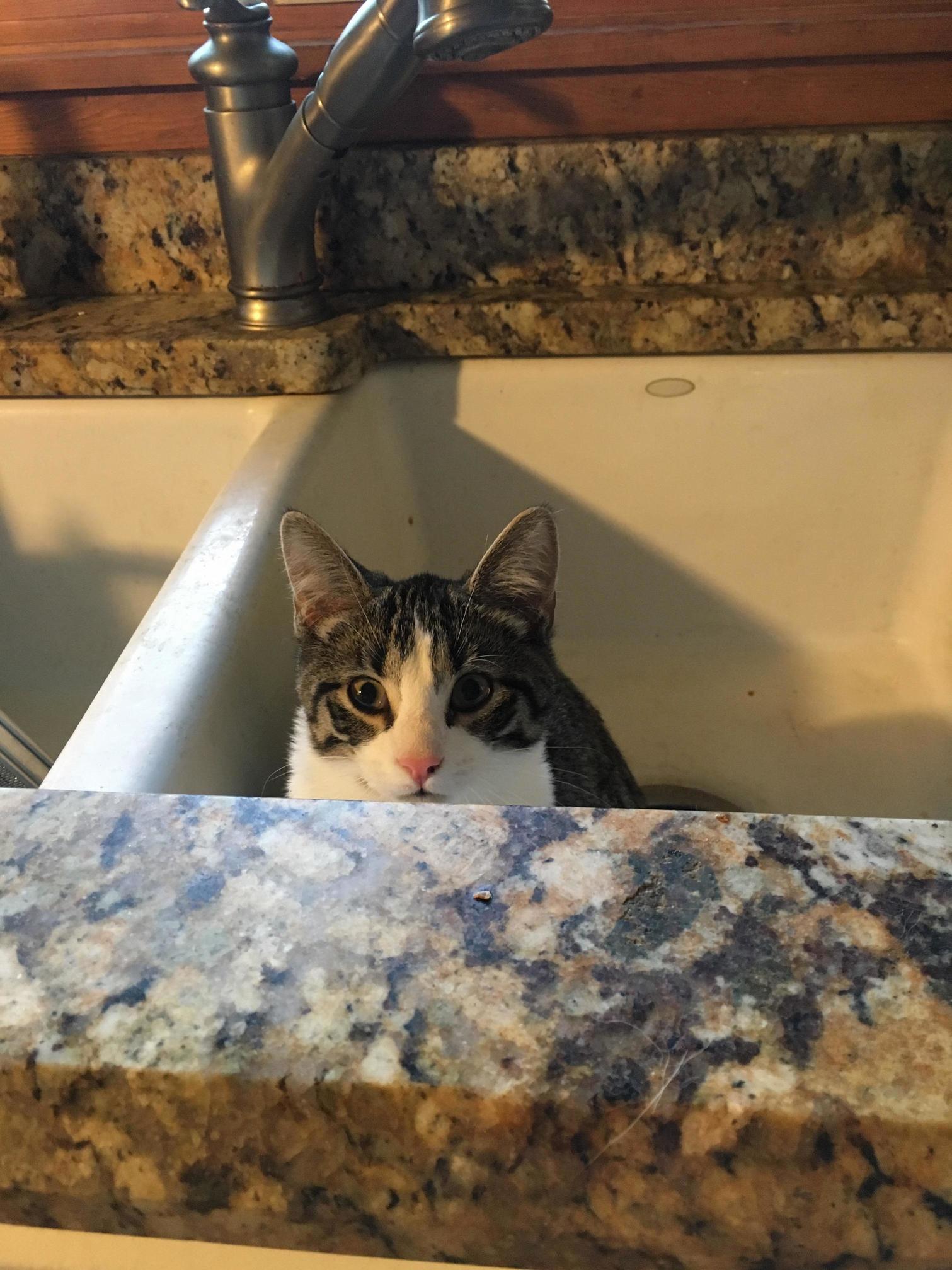 I Should Have Turned the Water On.