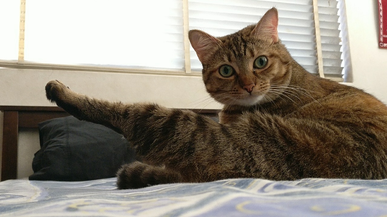 I Think This Is the Best Photo I Ve Ever Taken of Her