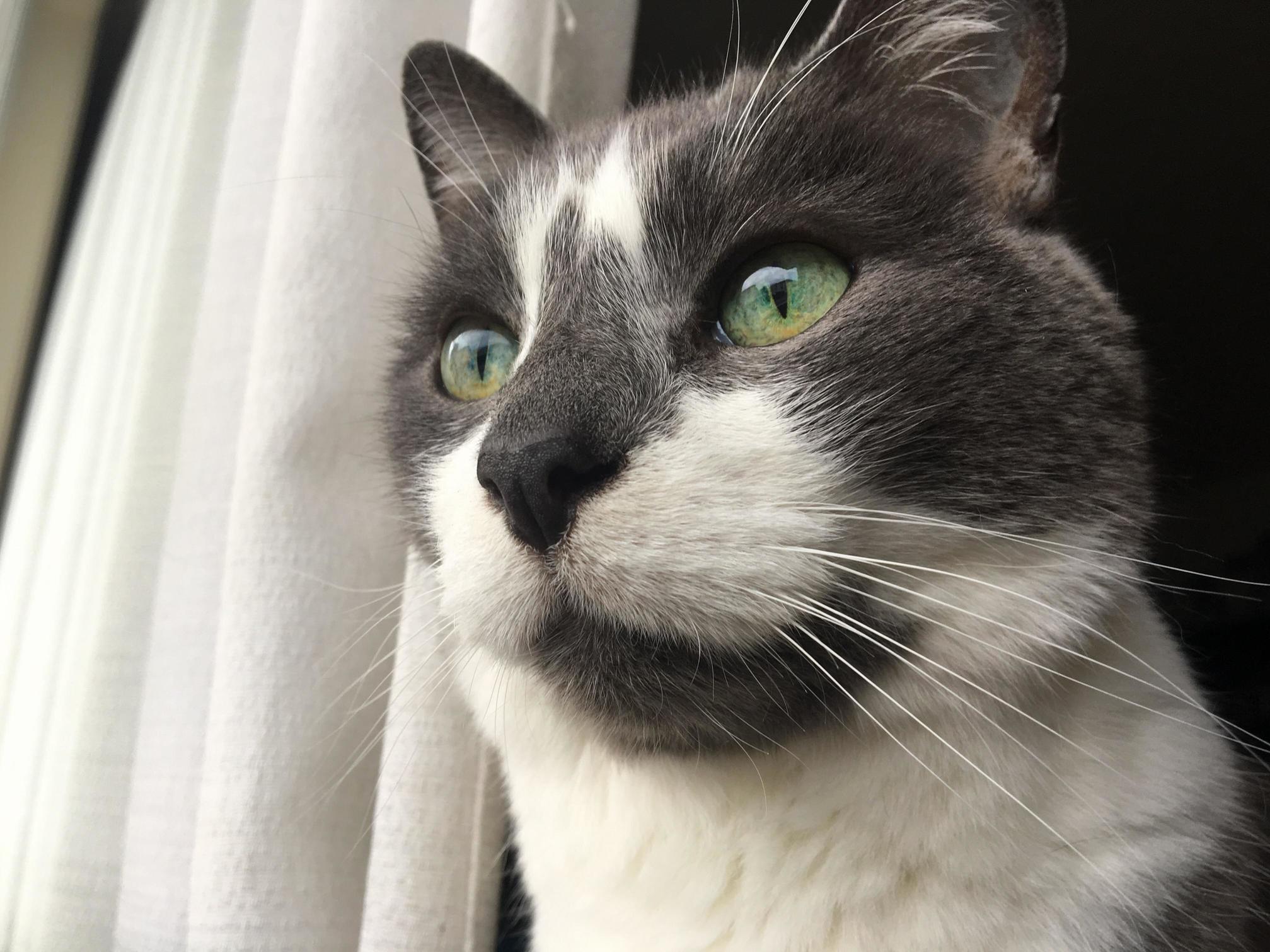 I Was Able to Get Nice and Close to Little Bean with the Camera