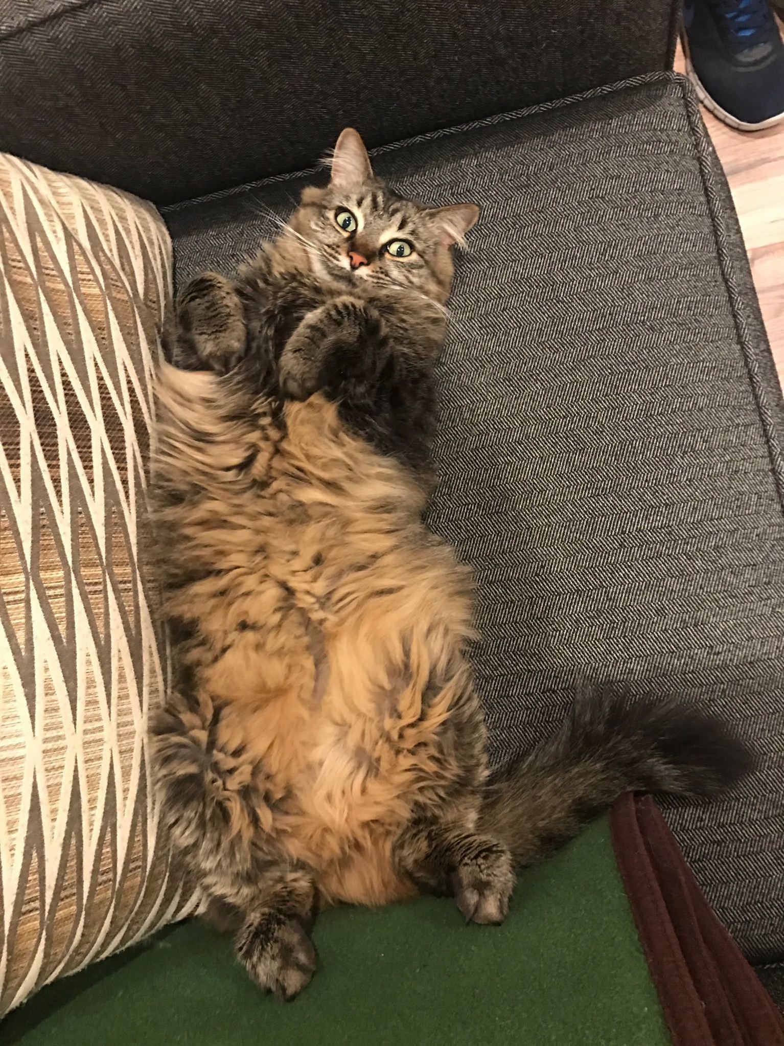 I Woke Her Up..