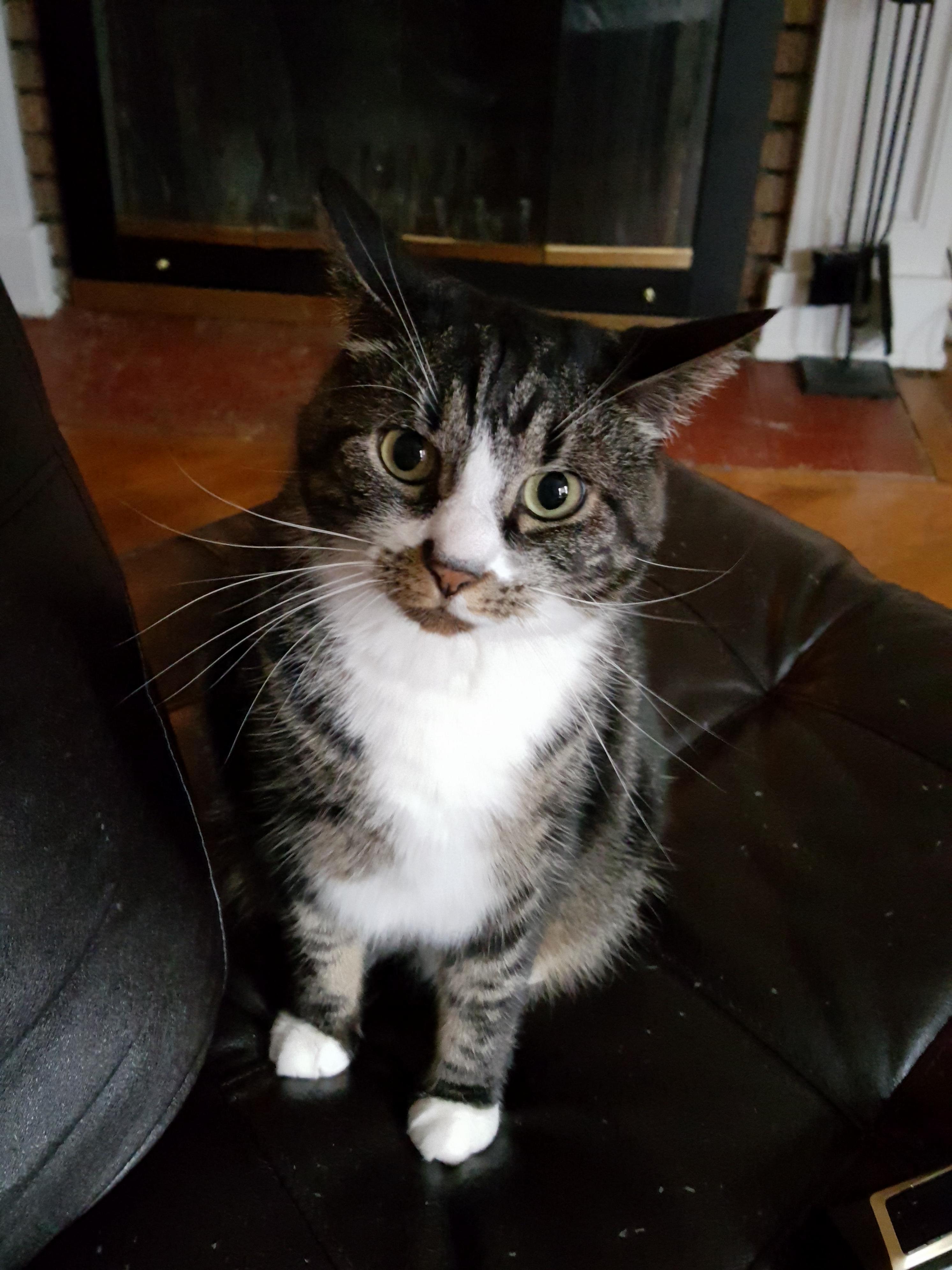 ID Like Everyone to Meet My Beautiful Girl Mia