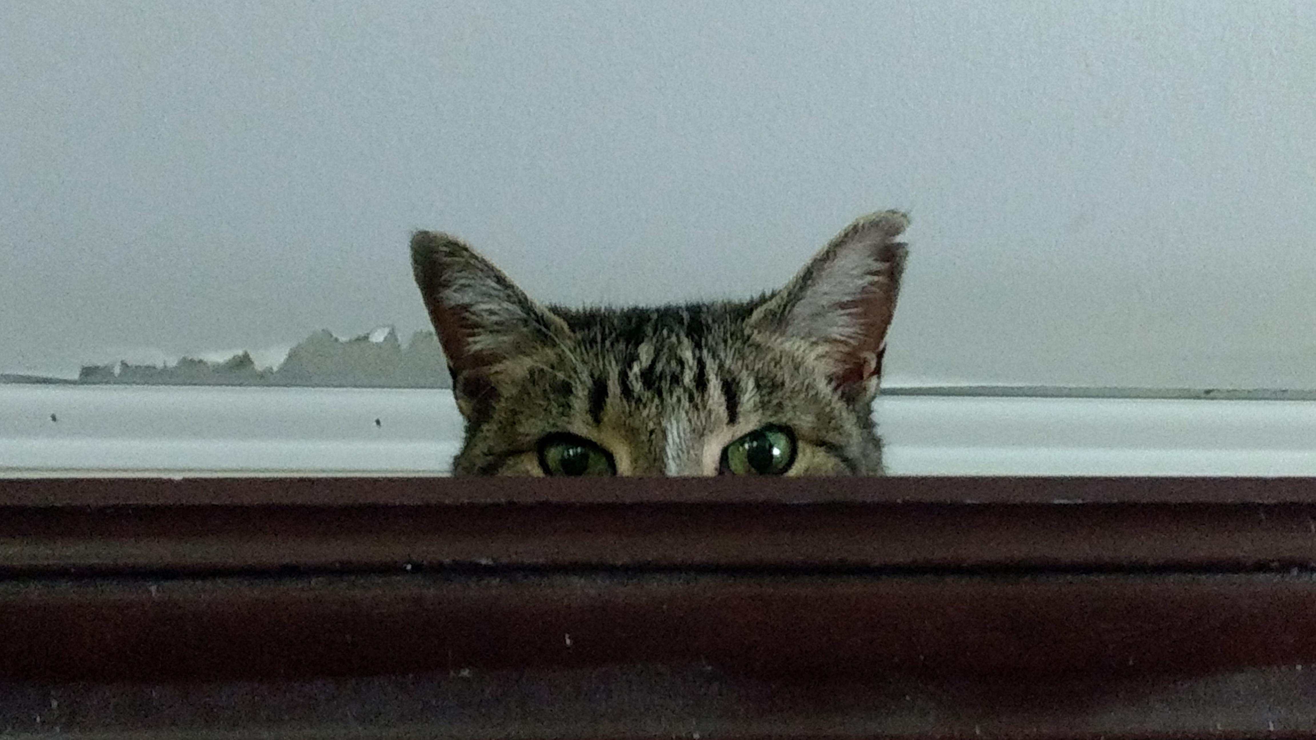 Im Watching You...