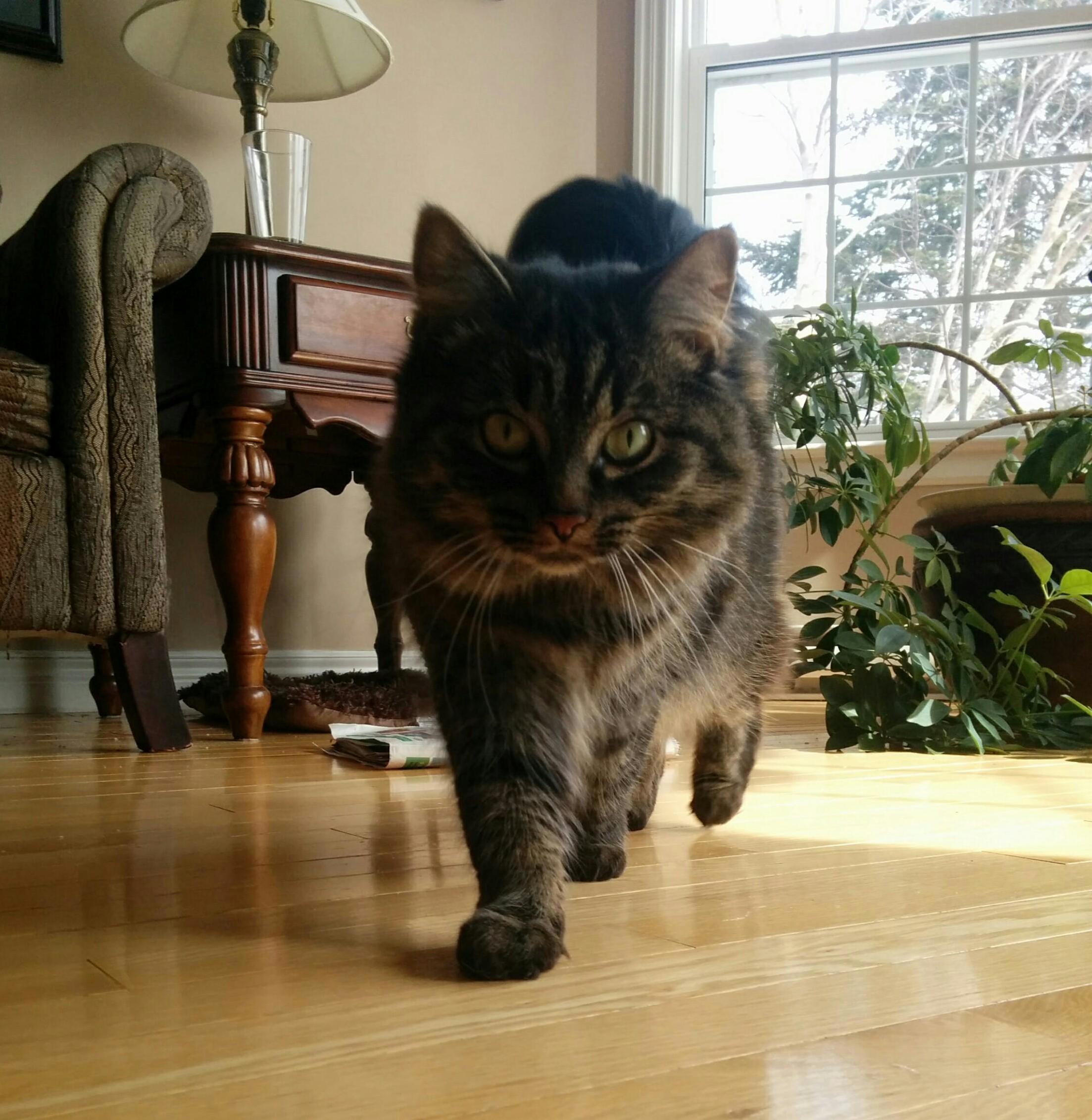 Indie Is So Fierce That It Makes Me Feel Like Naming Her Beyonc Would Have Been More Suitable.
