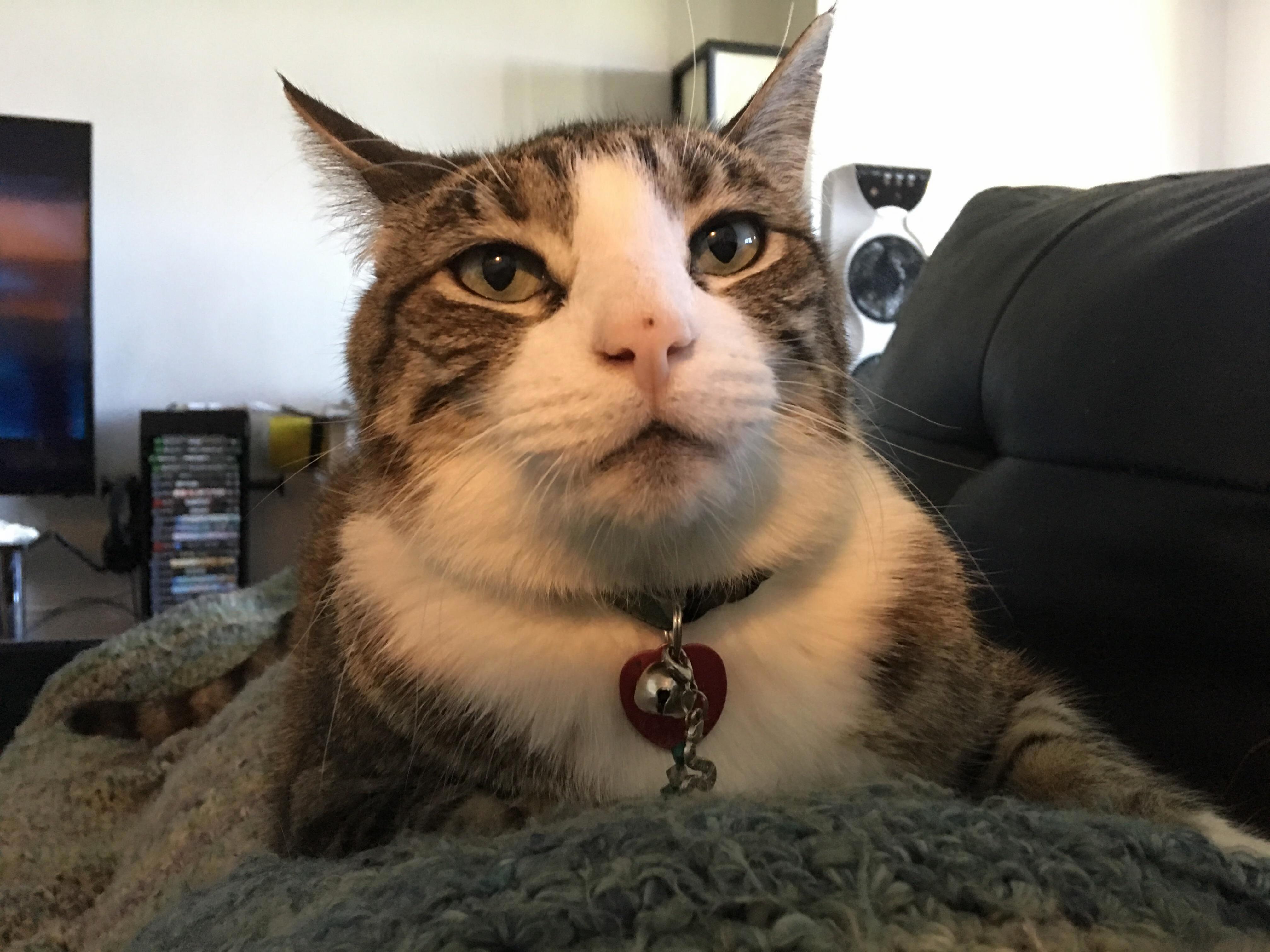 It Took 6 Months After a 3 Month Separation for Him to Decide I Was Cuddle-worthy Again.