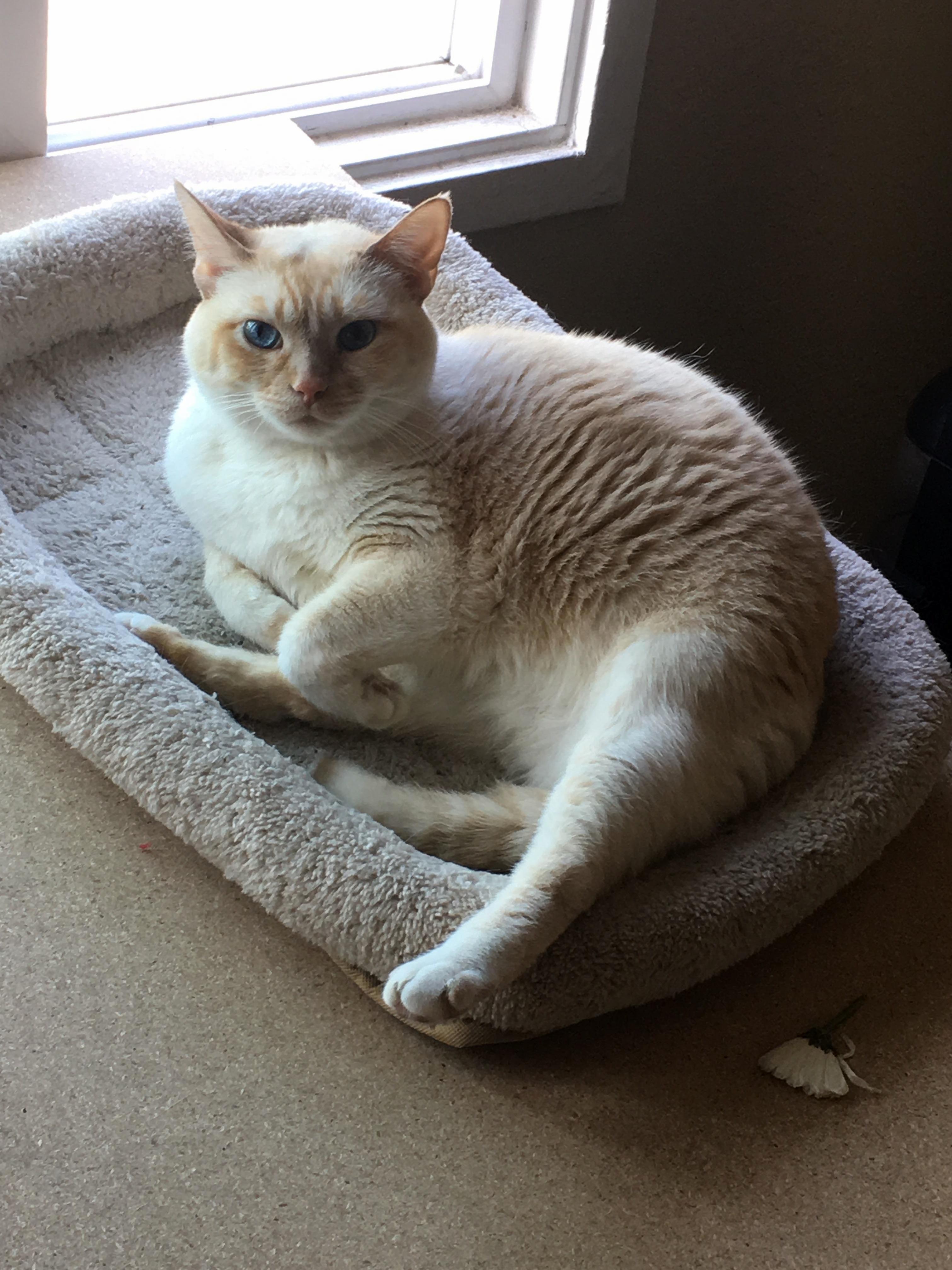 Just a Pretty Lady Stretching Out