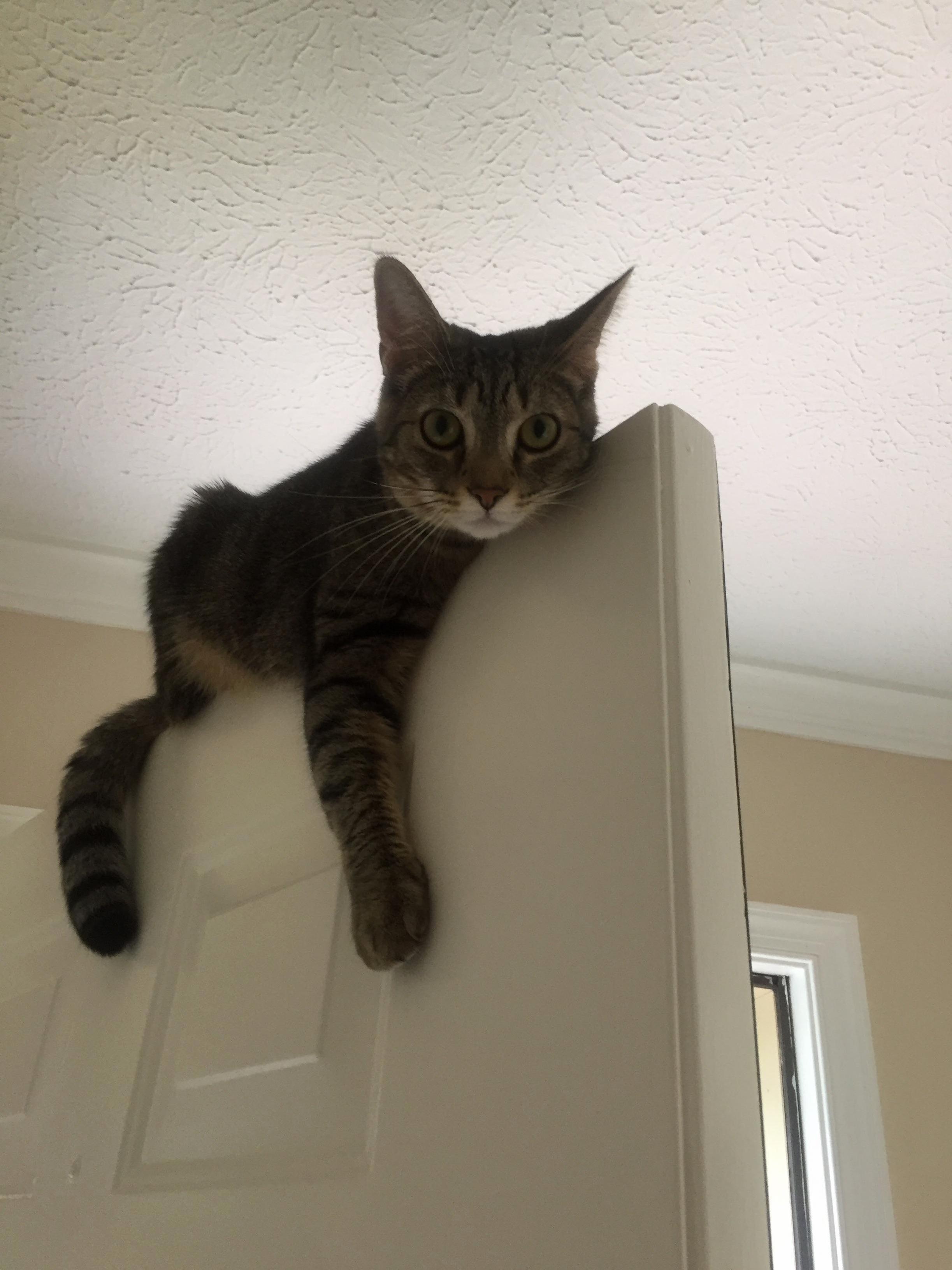 Just Hanging Around