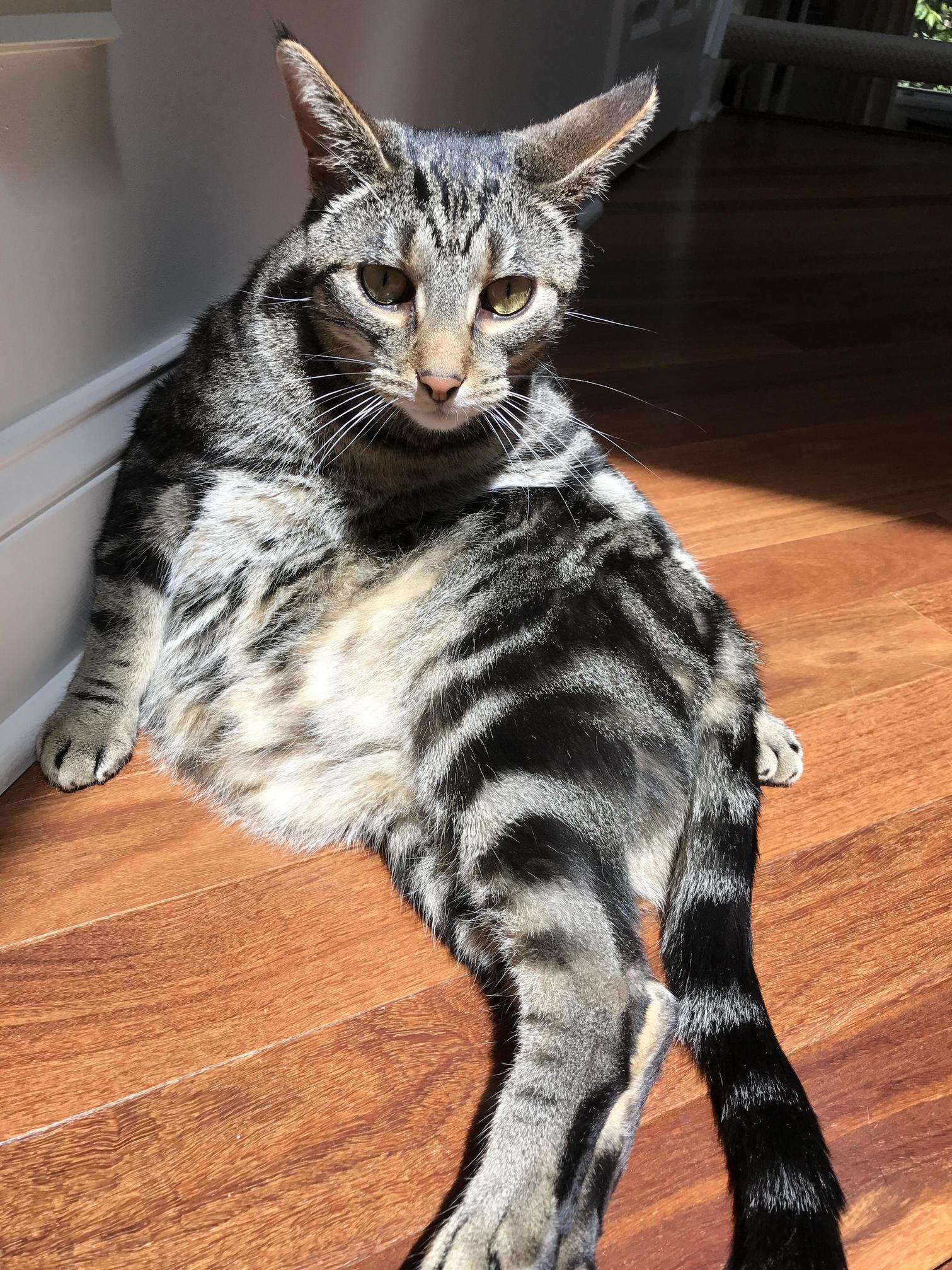 Just Lounging Around Like the Peoples Do.