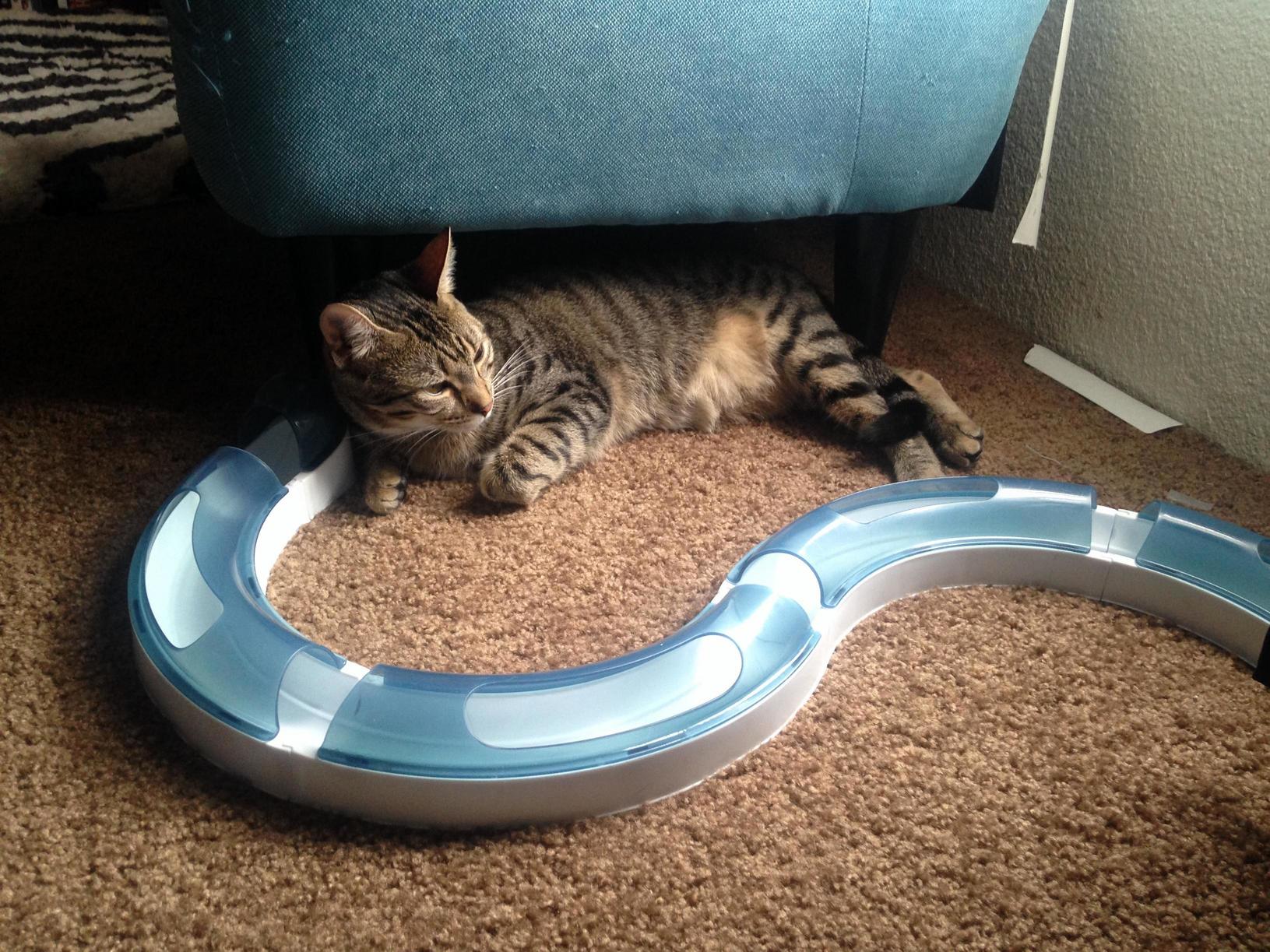 Just My Baby Withe Her Favorite Toy and Camera Pose