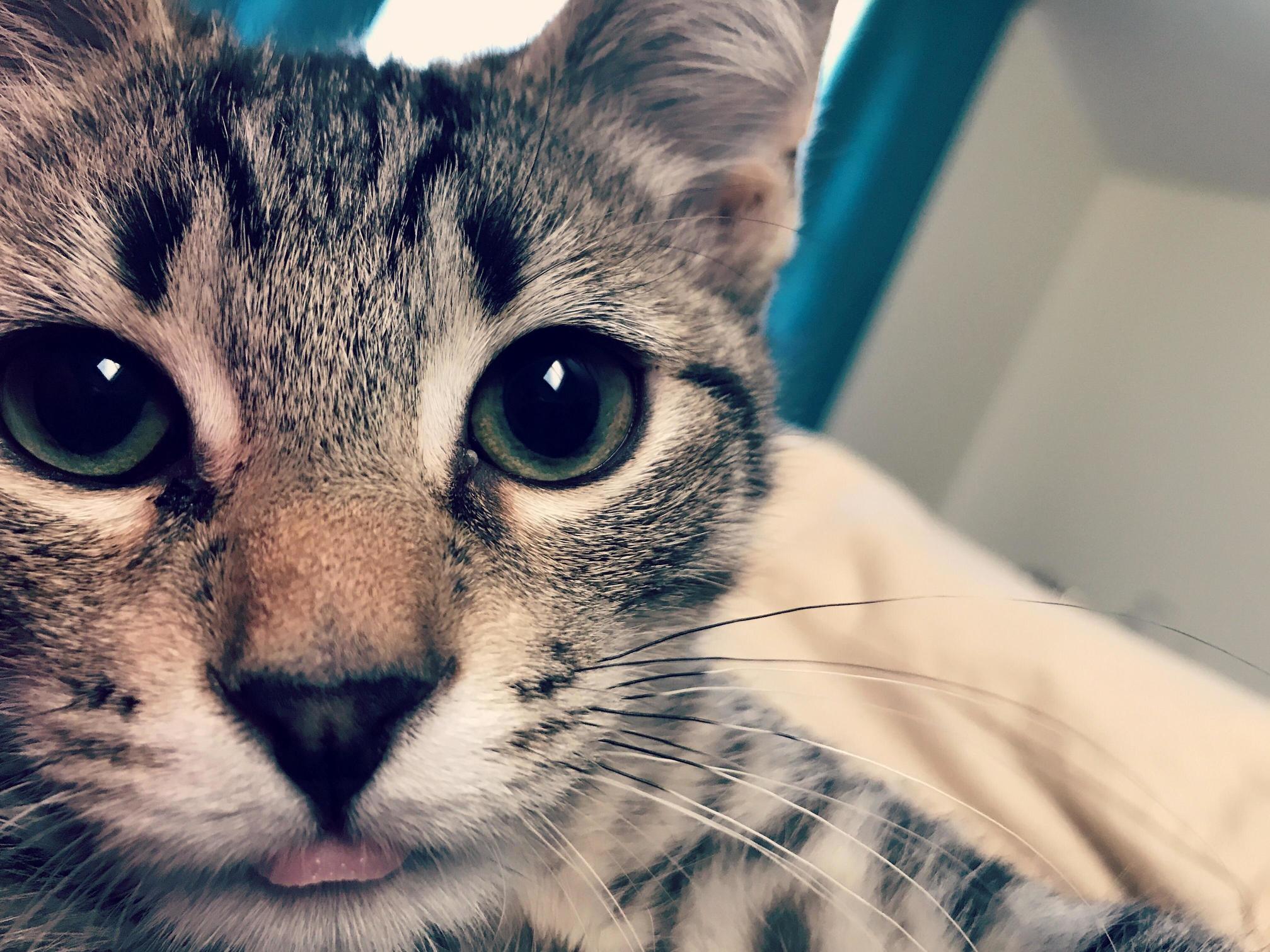 Kevin Says Good Morning
