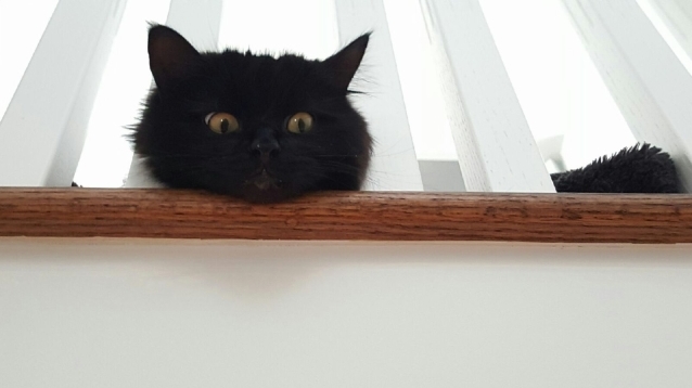 Larry Looking Down from the Balcony.