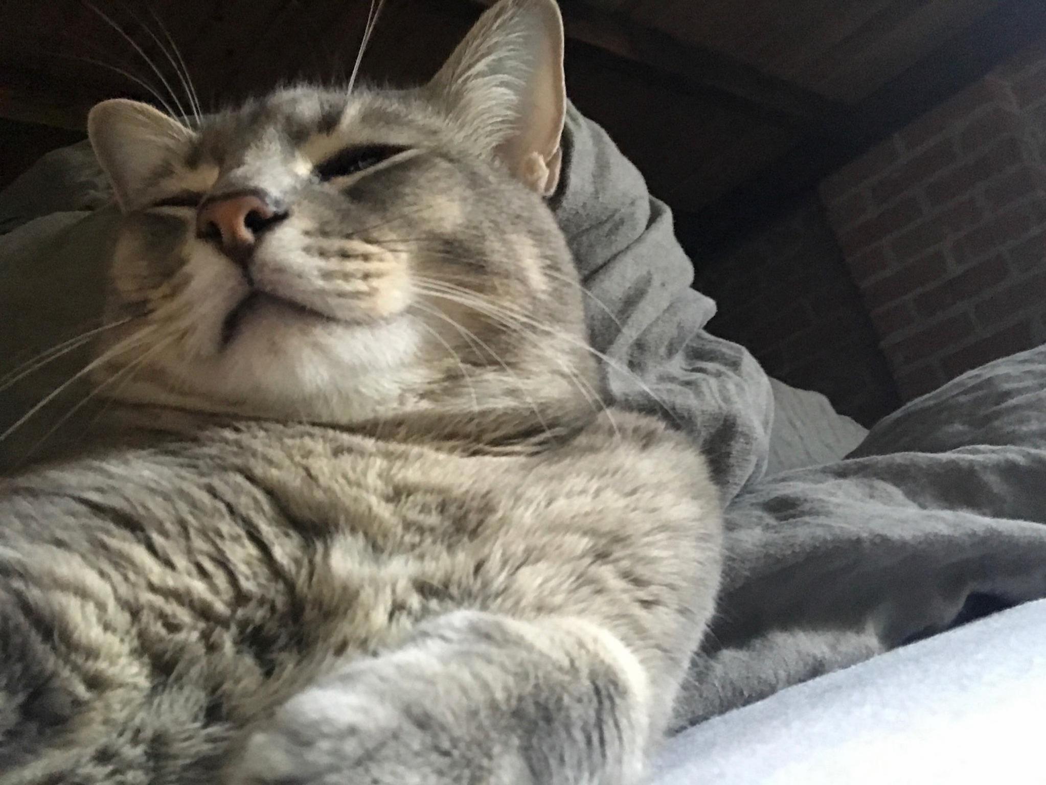 Lazy Monday Snuggles